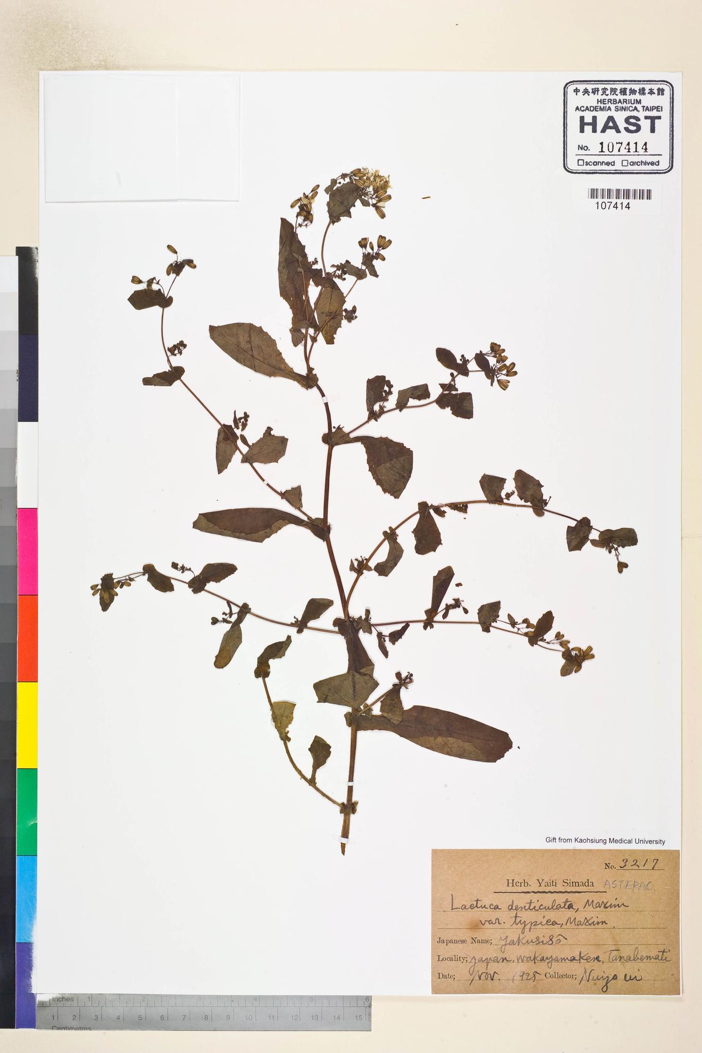 Sample image for viewer