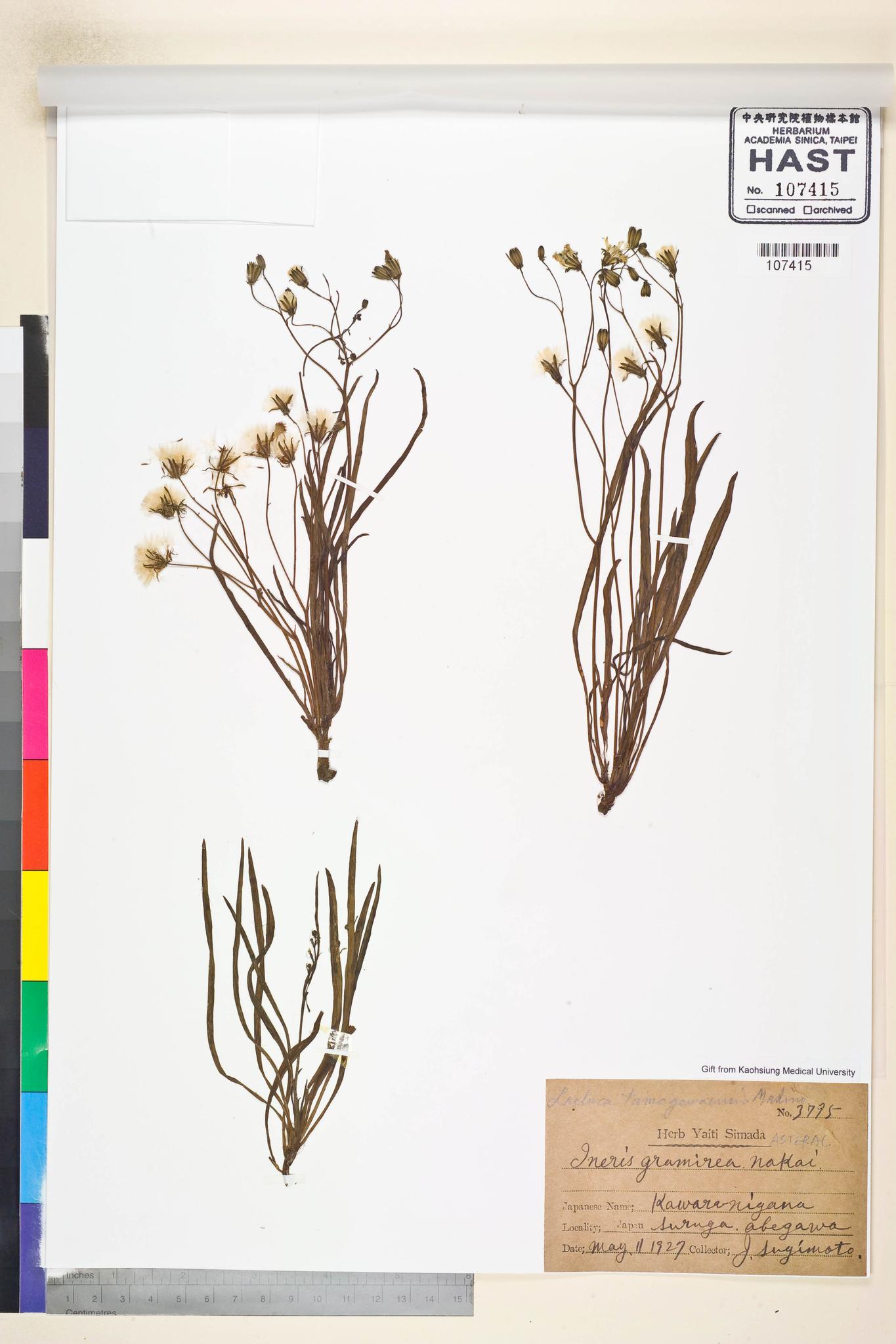 Sample image for viewer