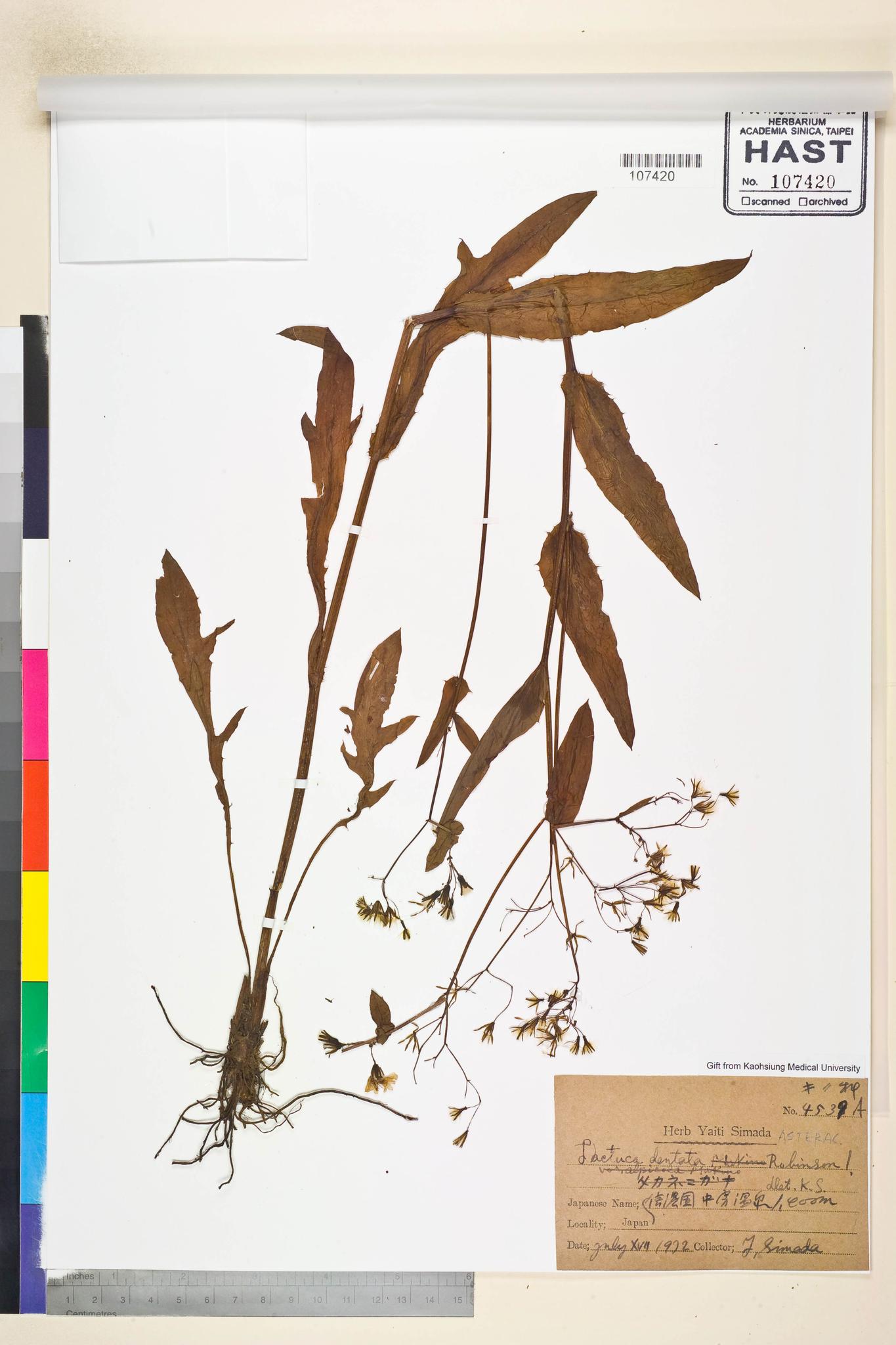 Sample image for viewer