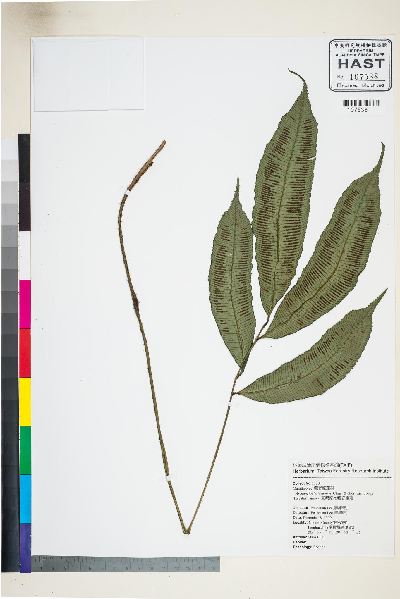 Sample image for viewer