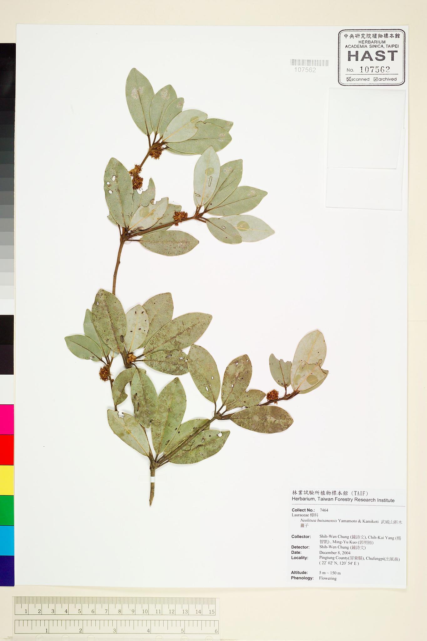 Sample image for viewer