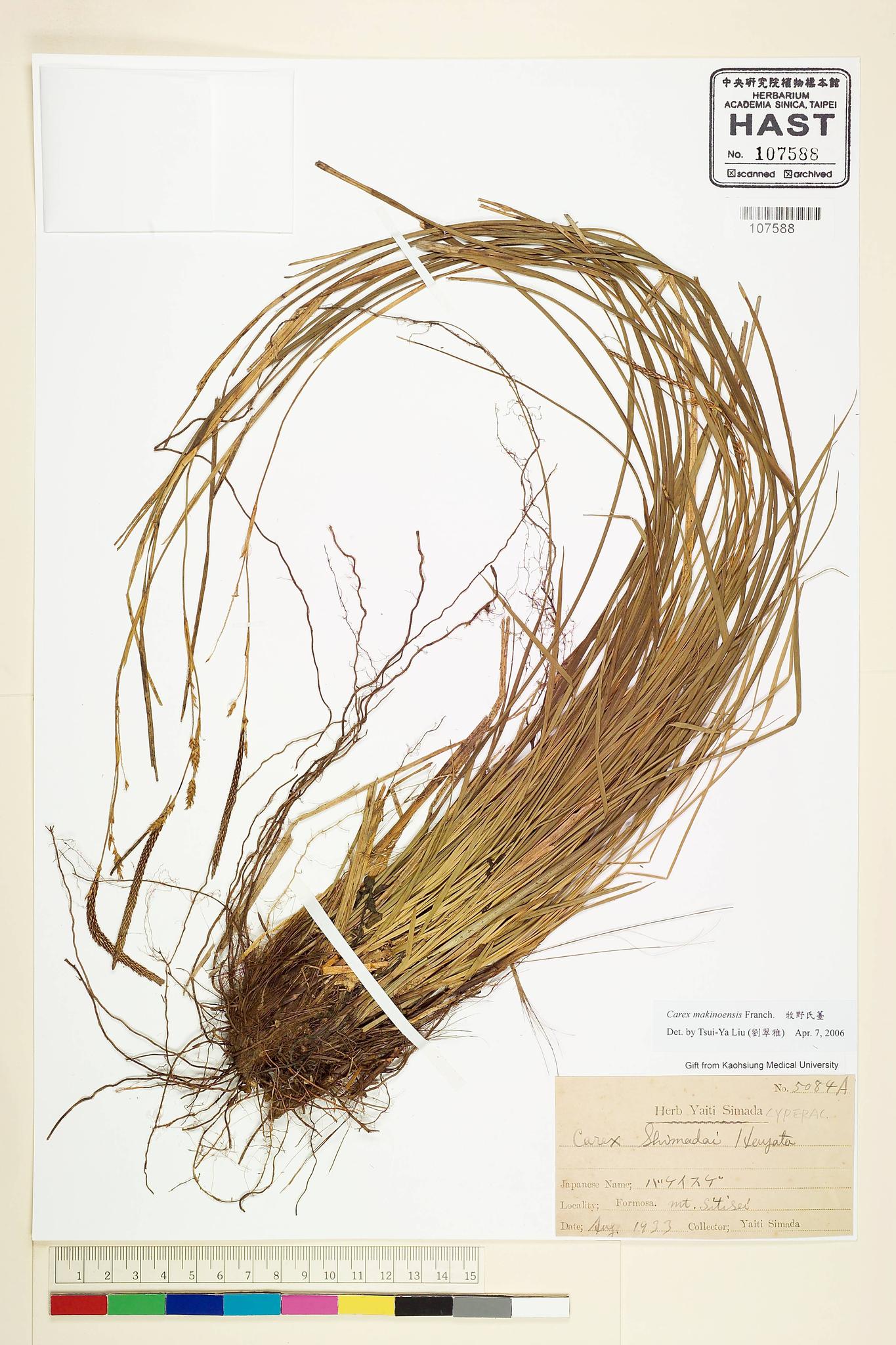 Sample image for viewer