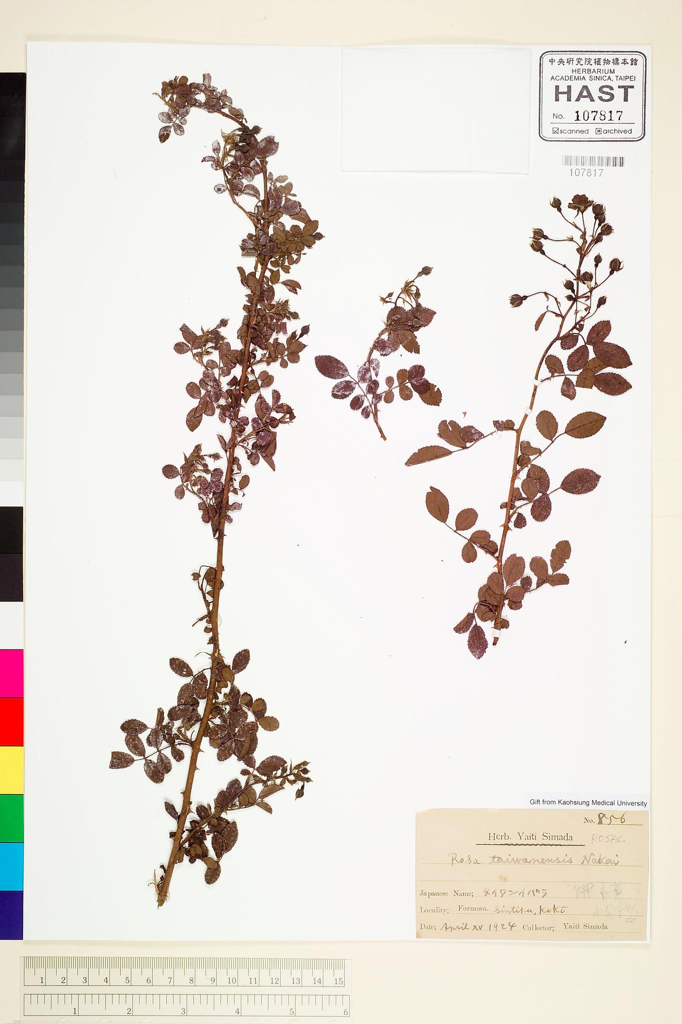 Sample image for viewer