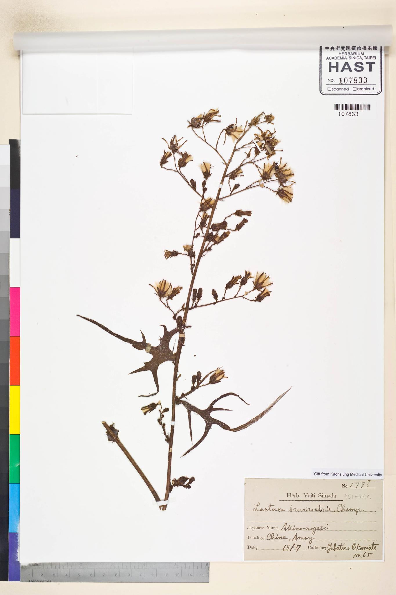 Sample image for viewer