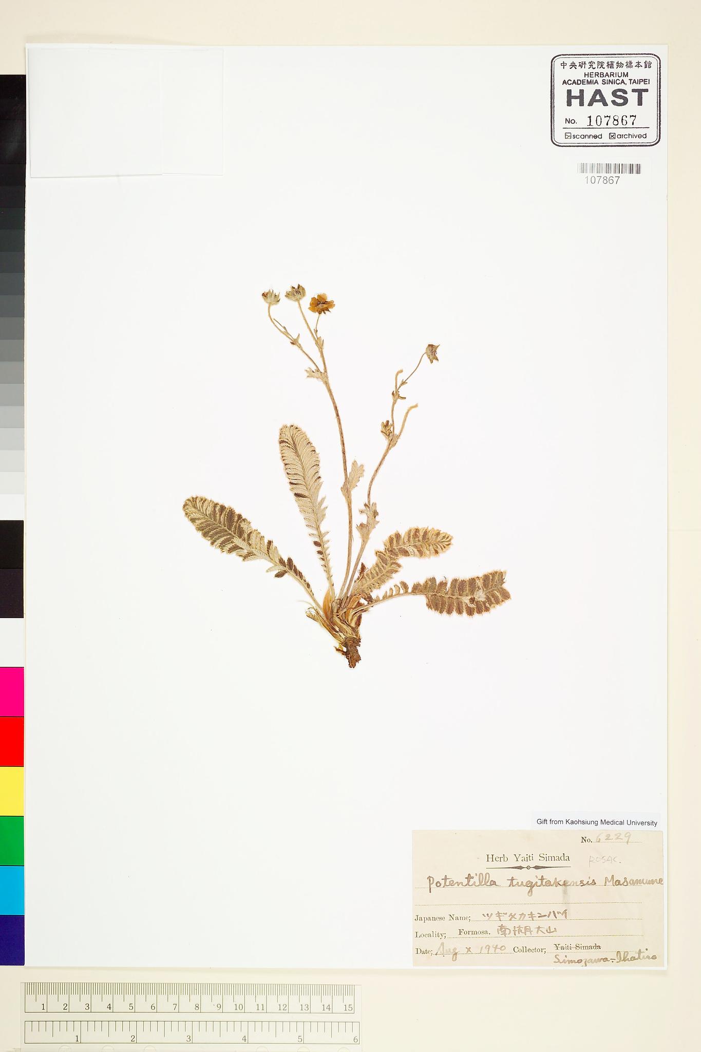 Sample image for viewer