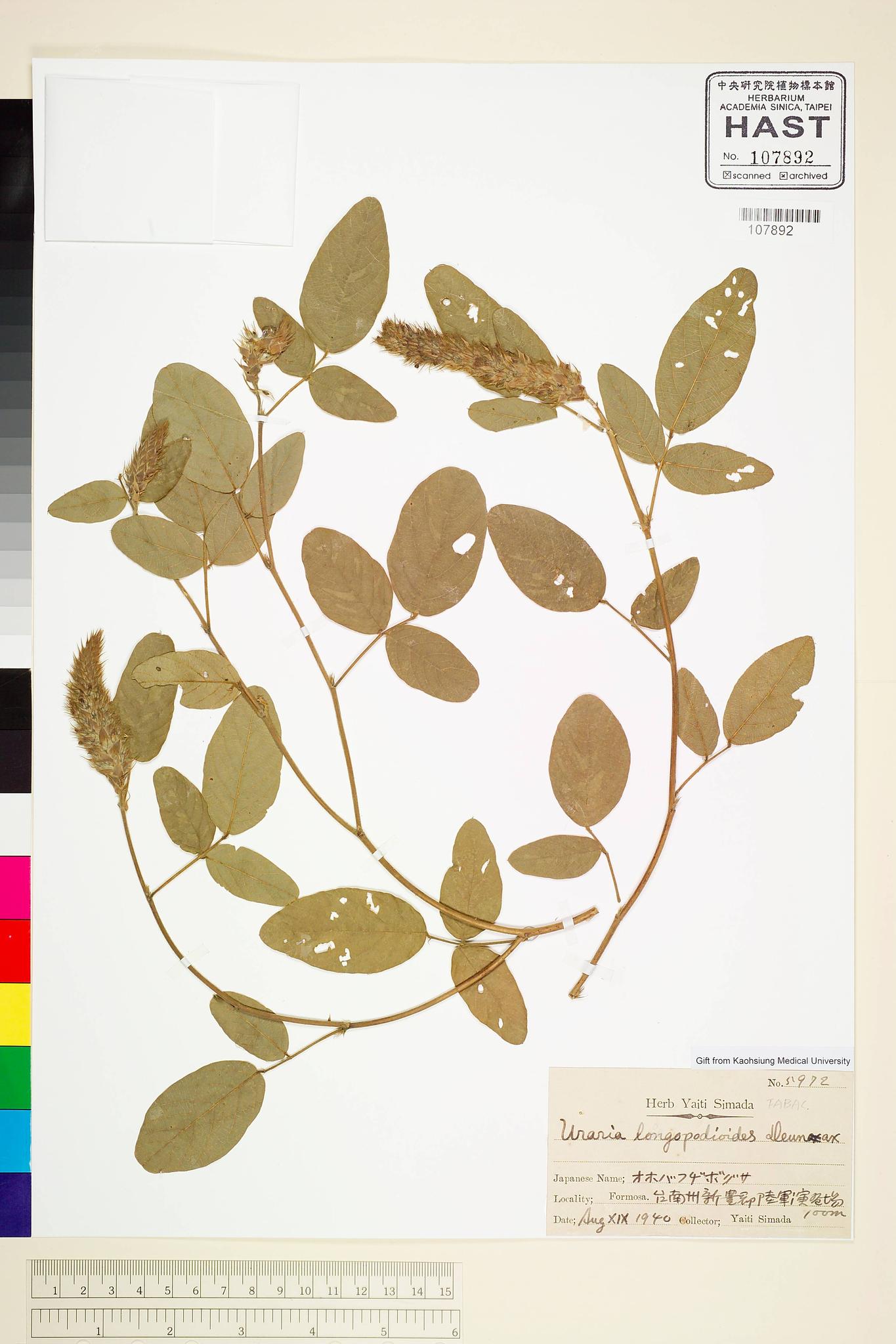 Sample image for viewer