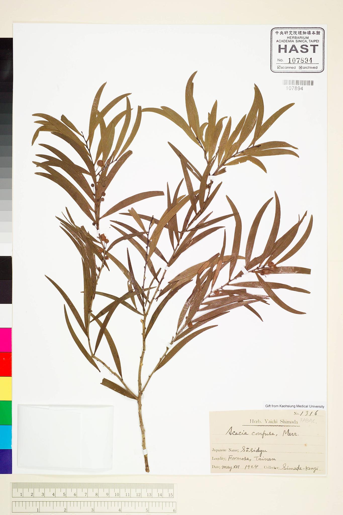 Sample image for viewer