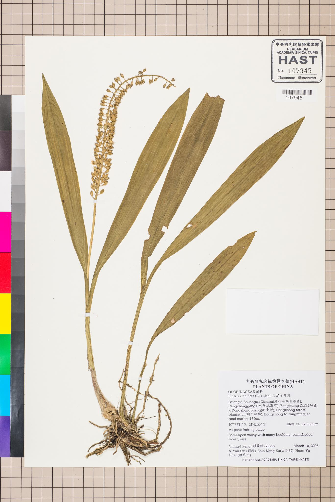 Sample image for viewer