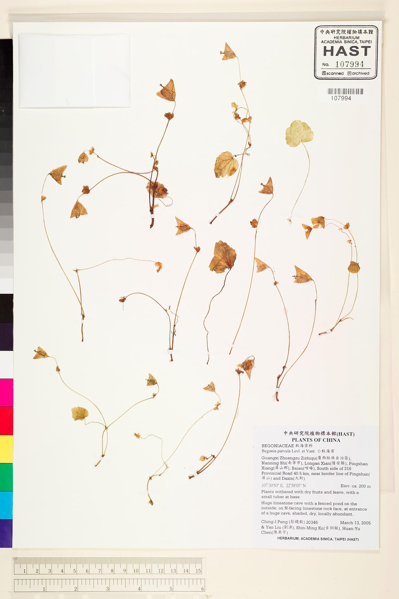 Sample image for viewer