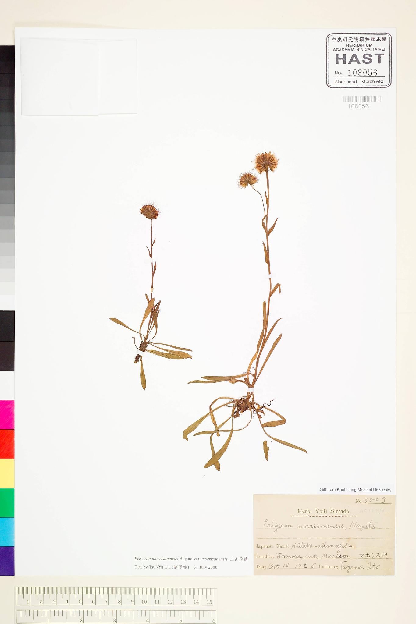 Sample image for viewer