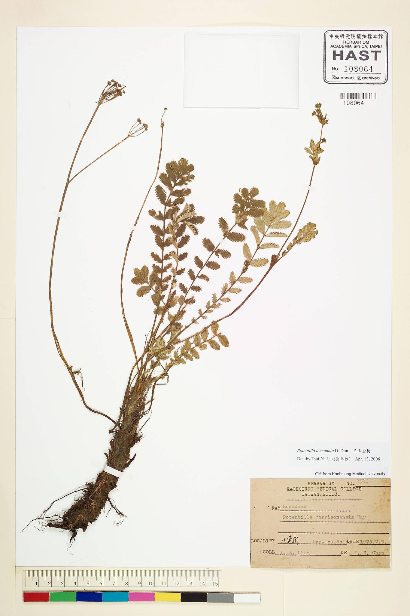 Sample image for viewer