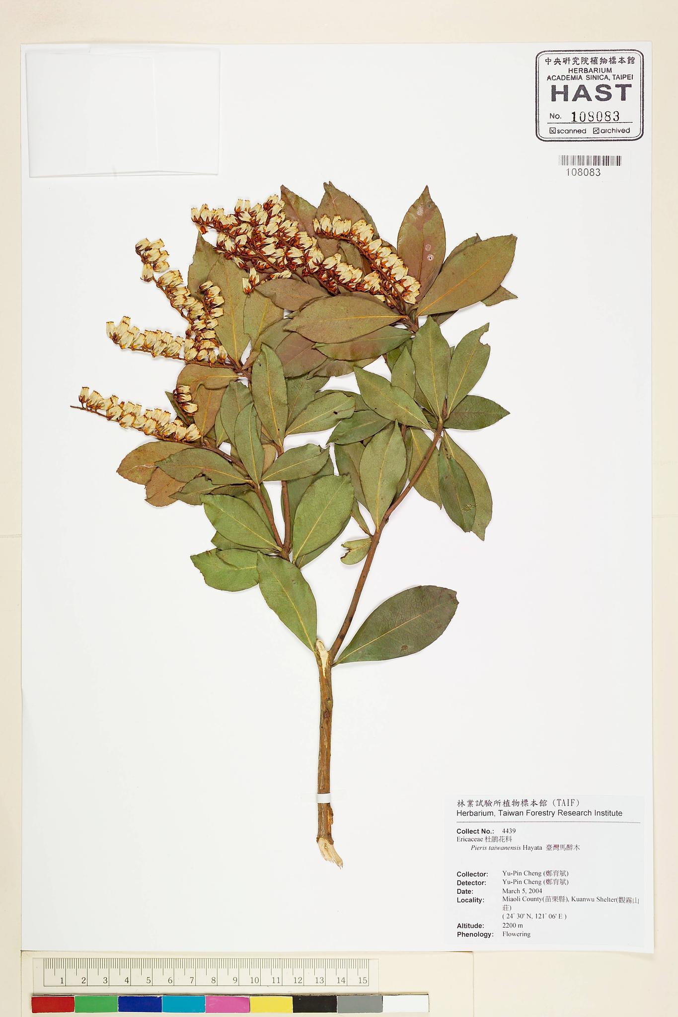 Sample image for viewer