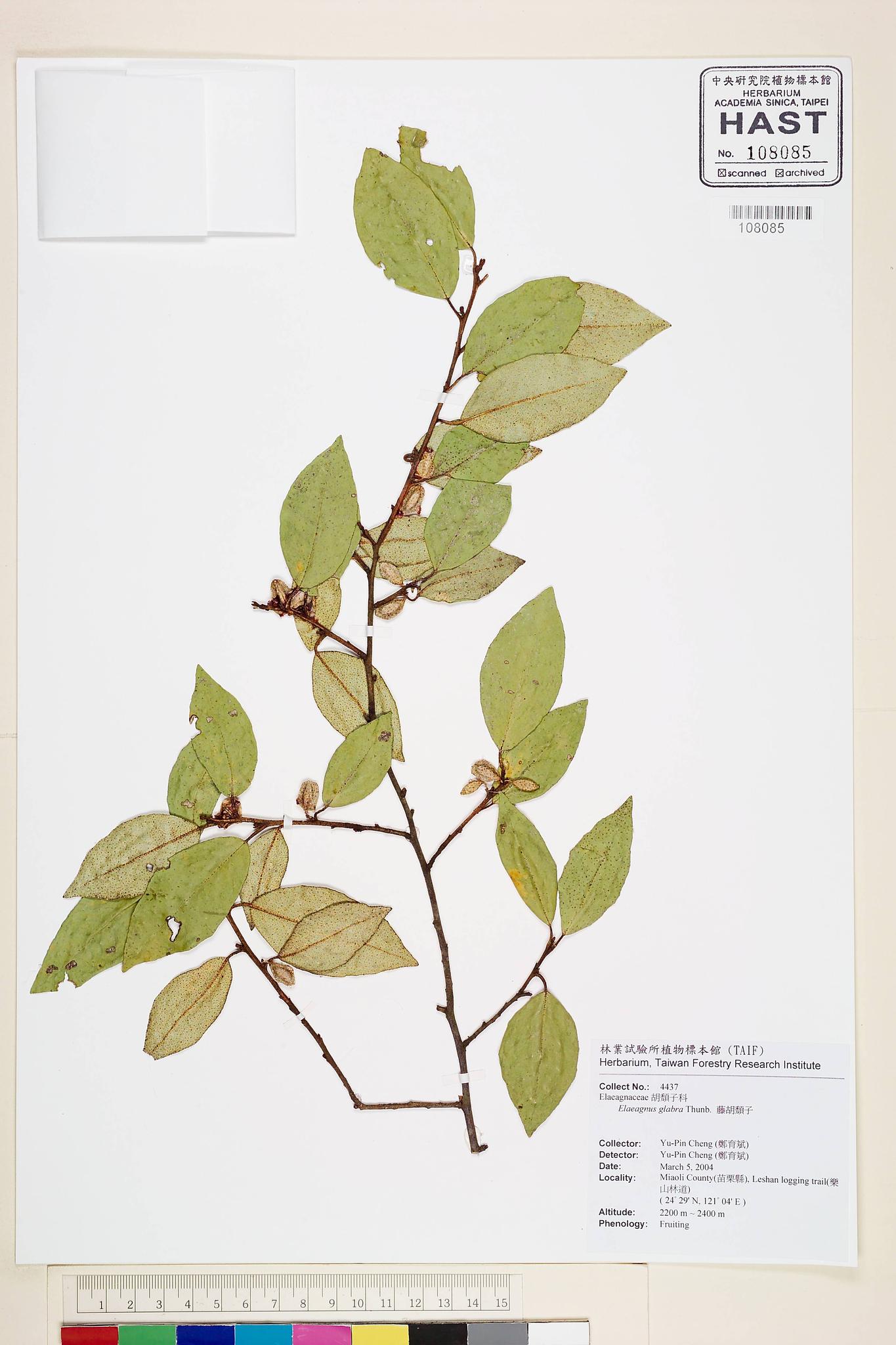 Sample image for viewer