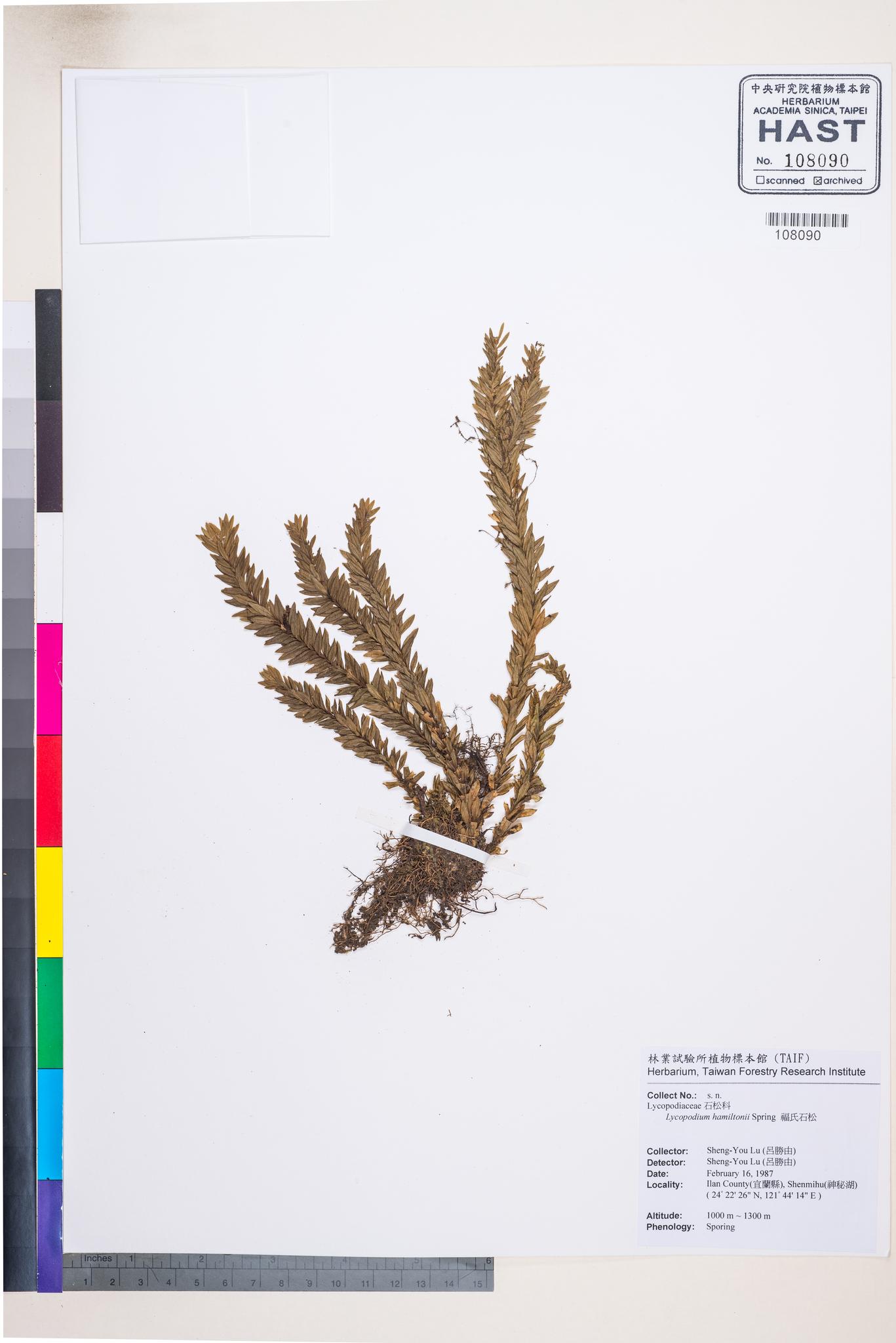 Sample image for viewer