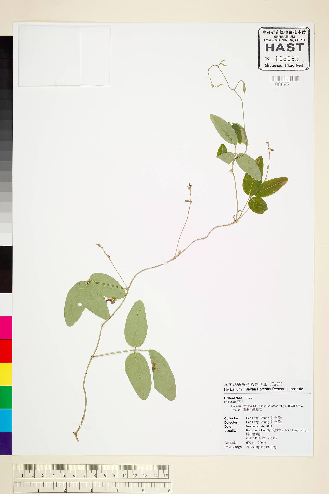 Sample image for viewer