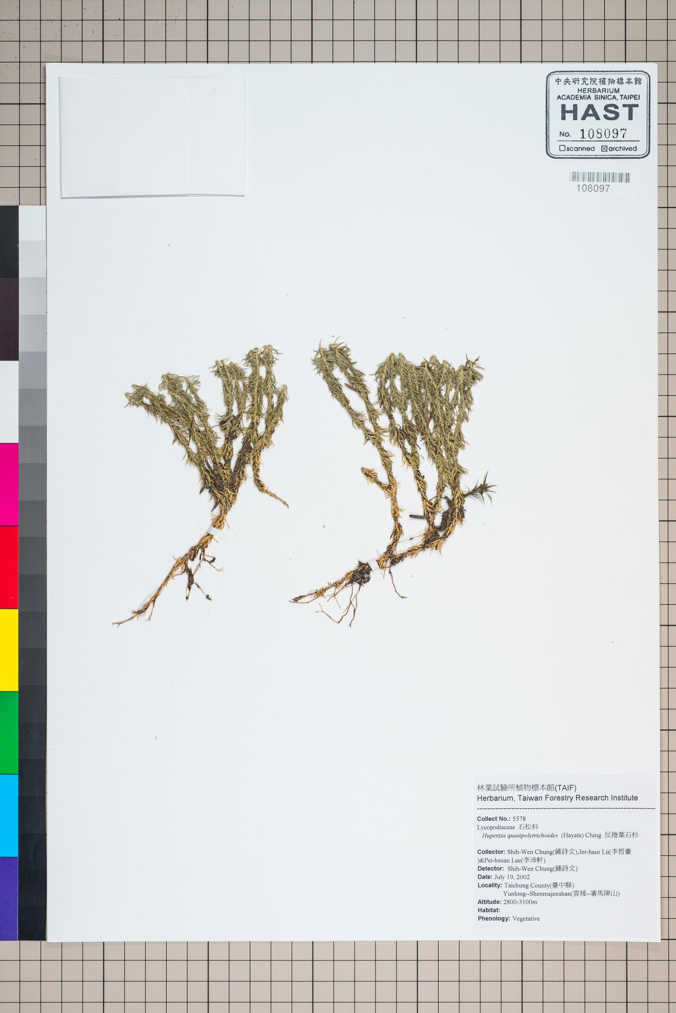 Sample image for viewer