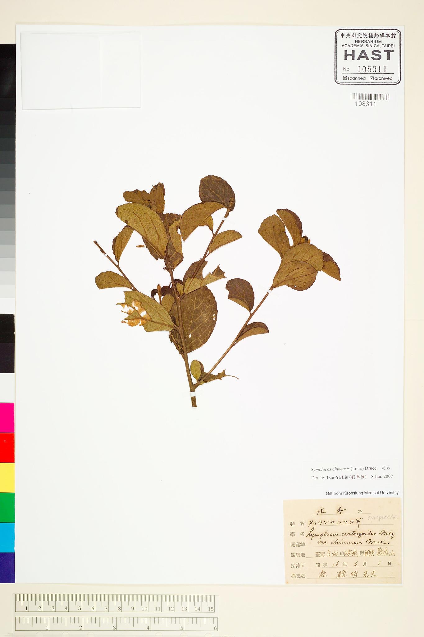 Sample image for viewer