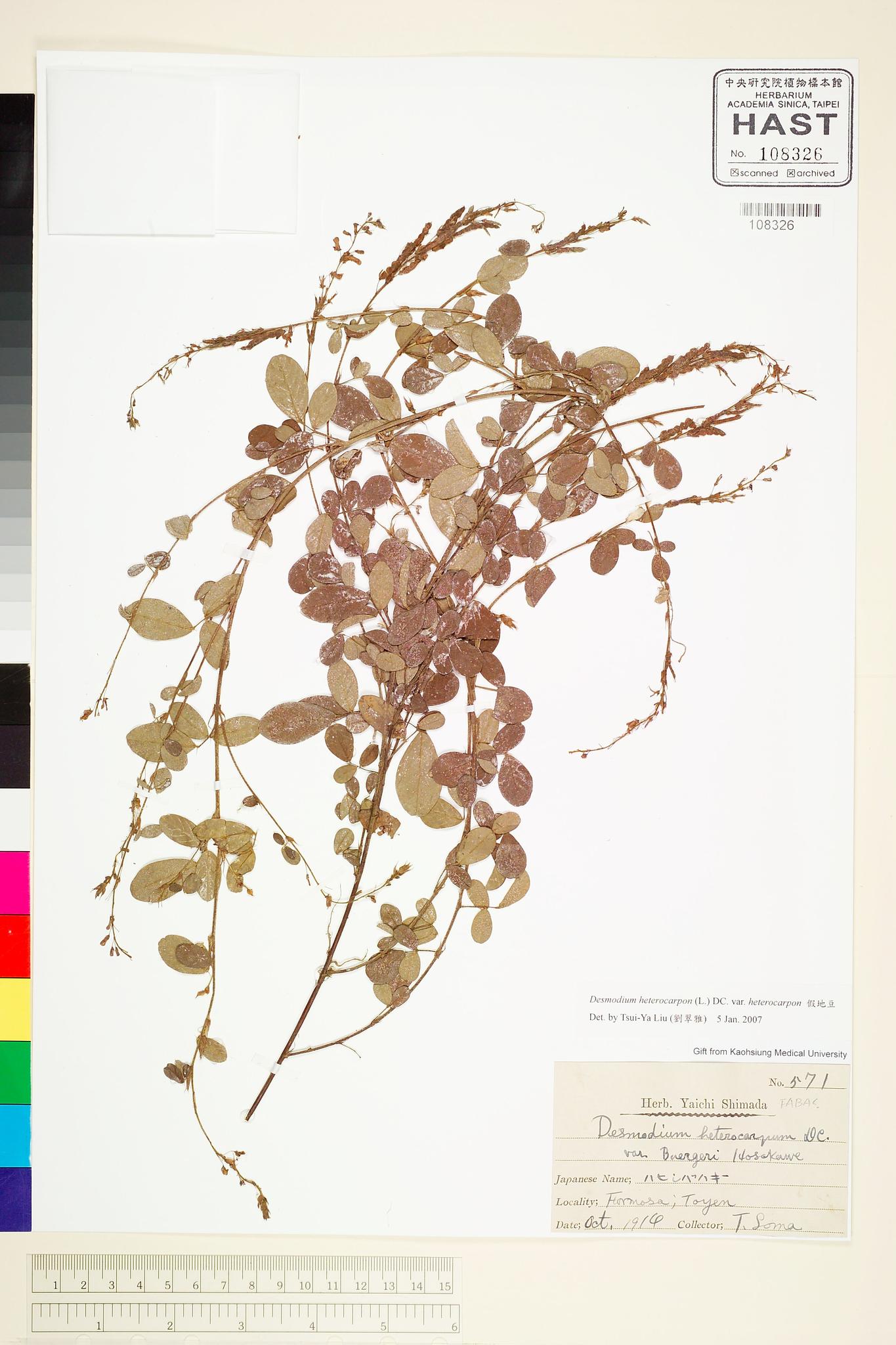 Sample image for viewer