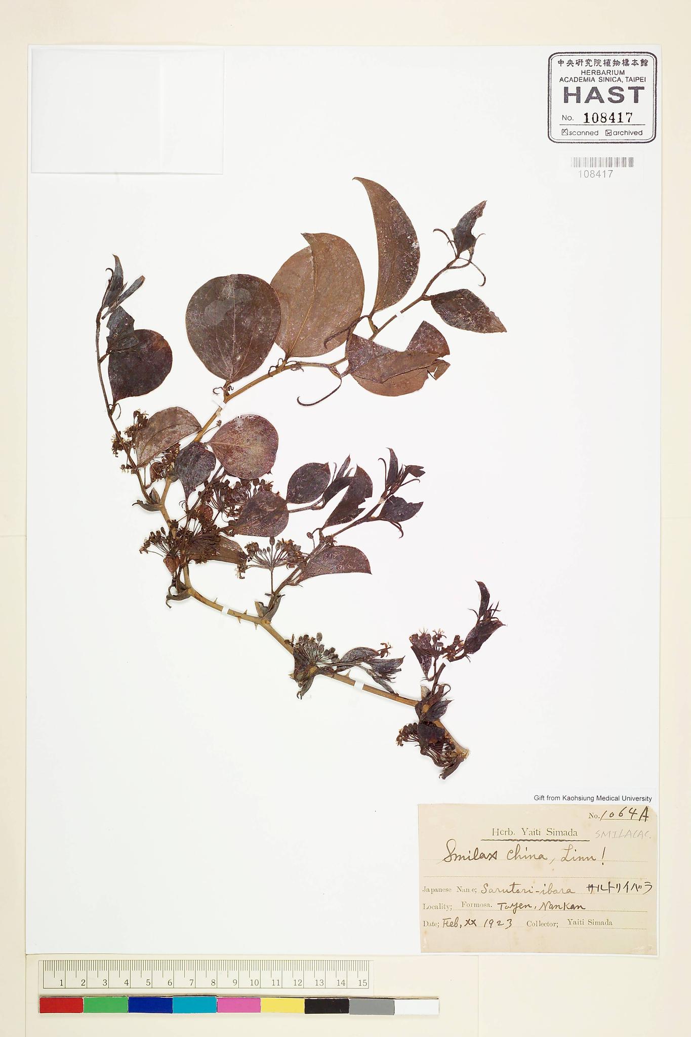 Sample image for viewer