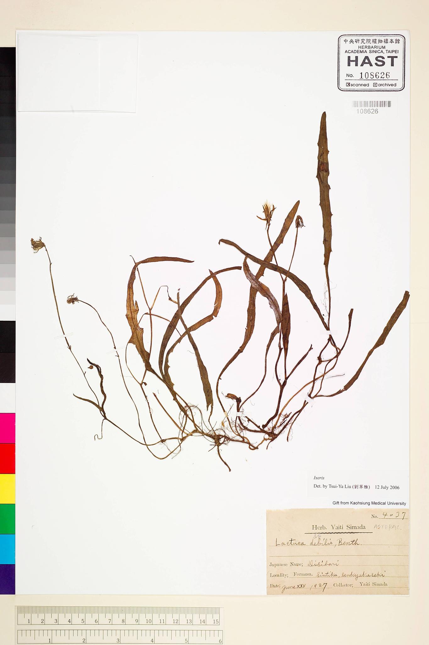 Sample image for viewer