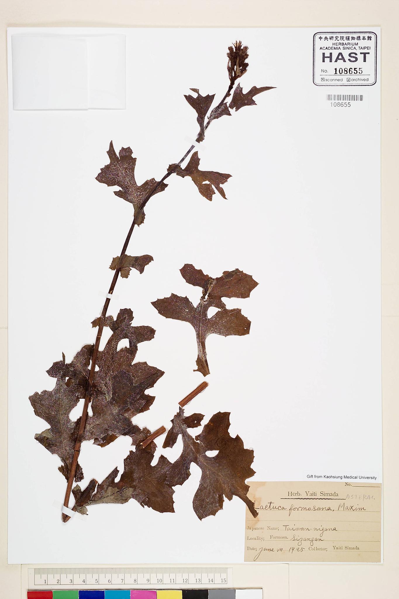 Sample image for viewer