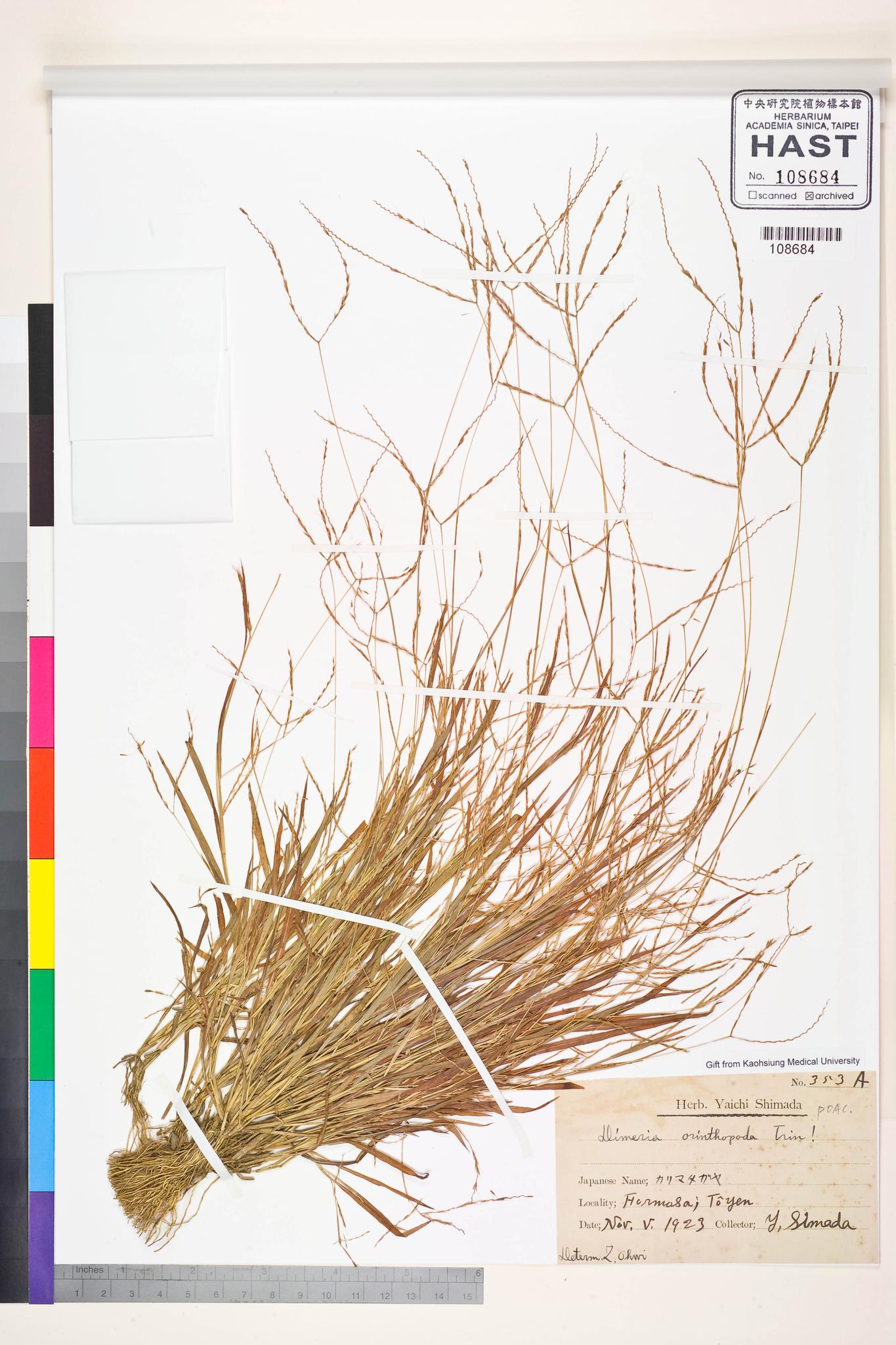 Sample image for viewer