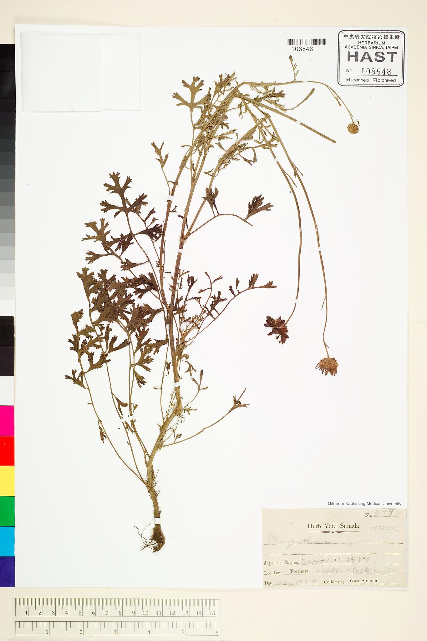 Sample image for viewer