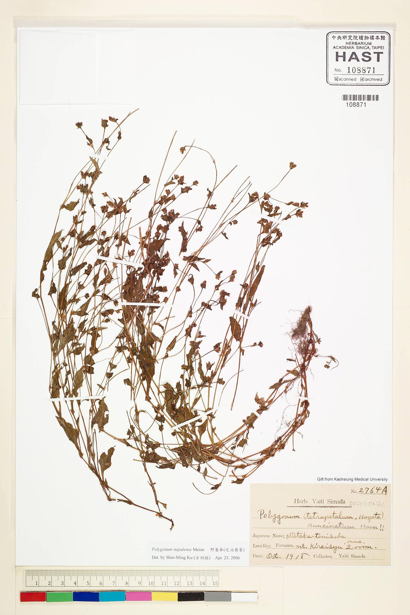 Sample image for viewer