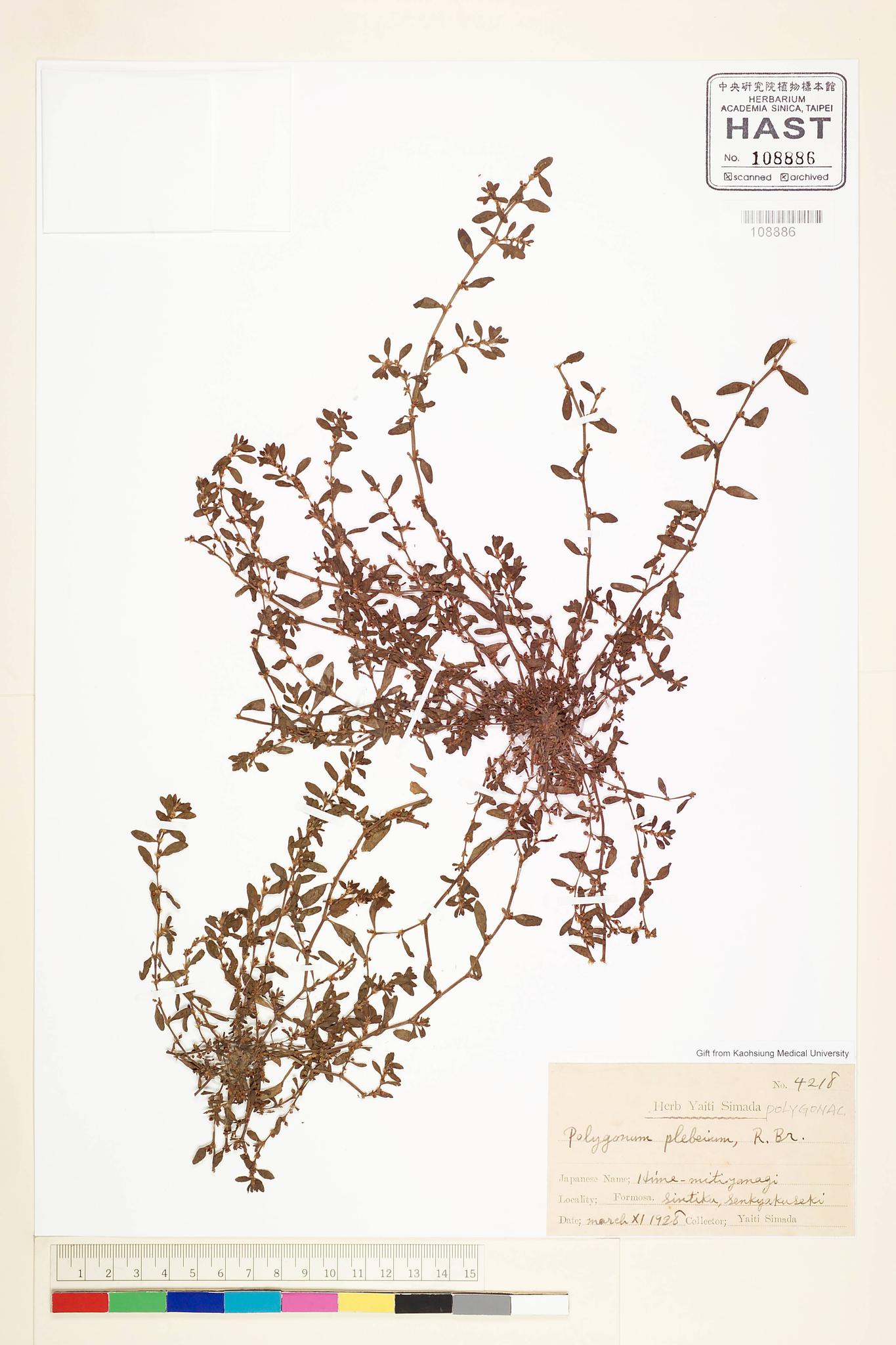 Sample image for viewer