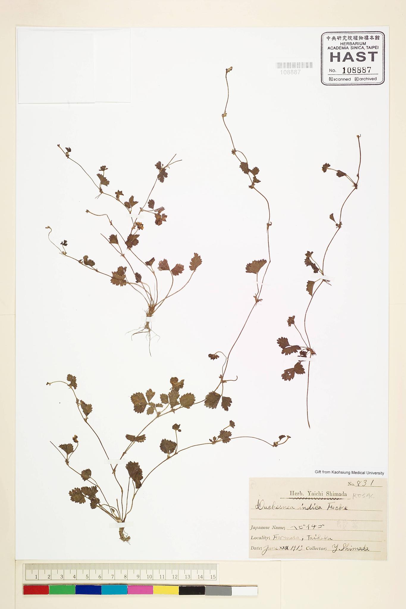 Sample image for viewer