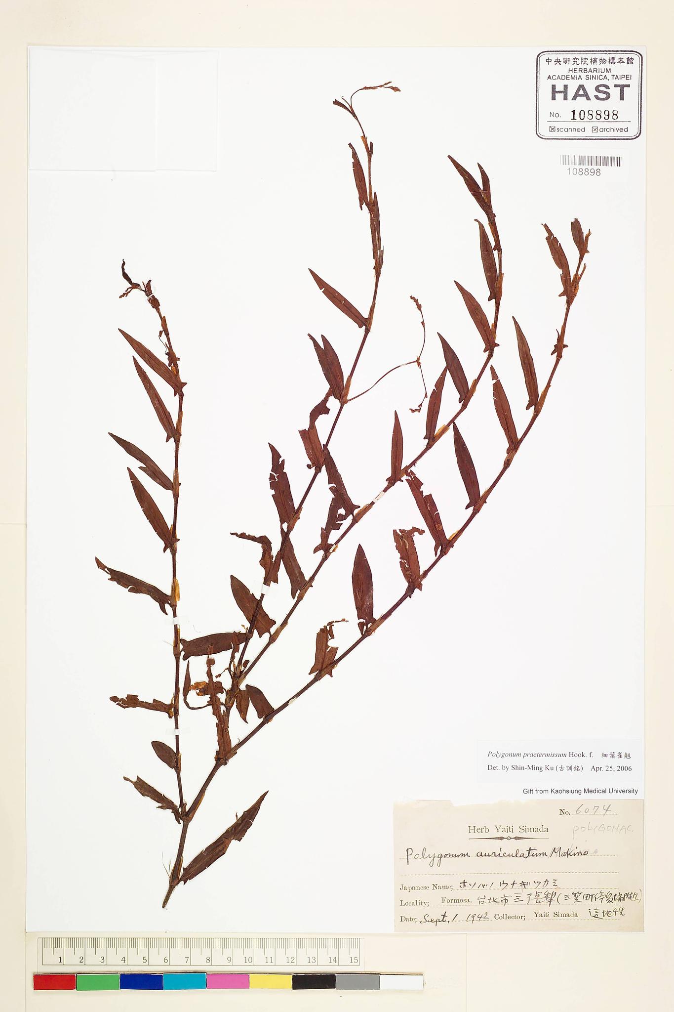 Sample image for viewer