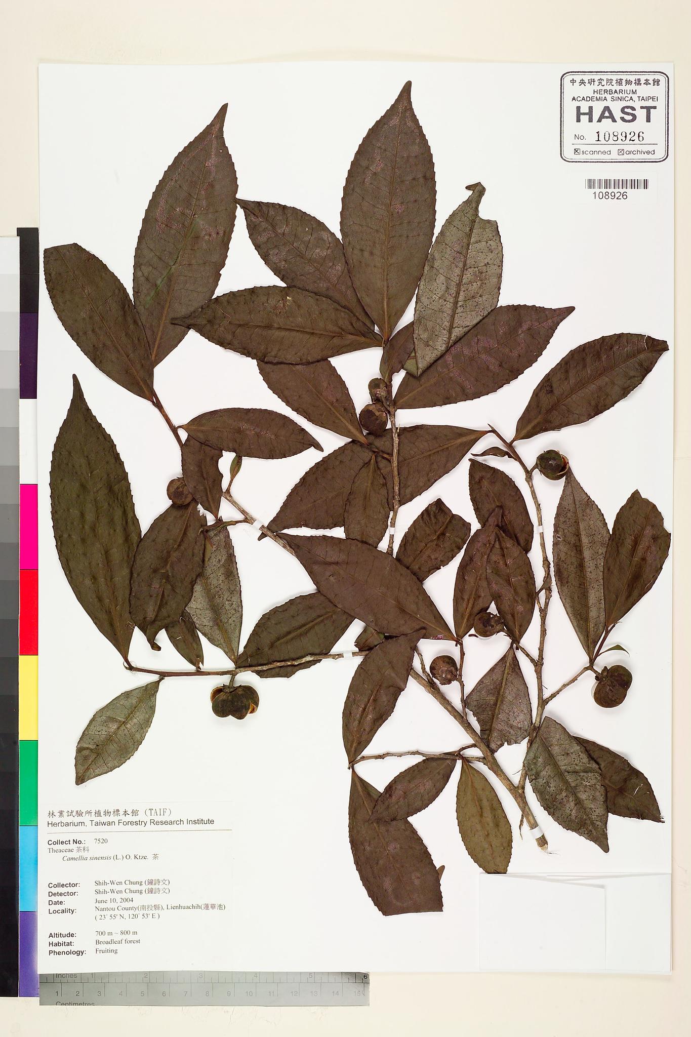 Sample image for viewer