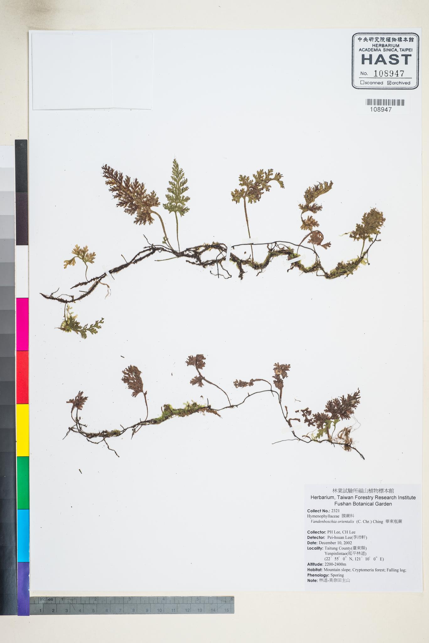 Sample image for viewer