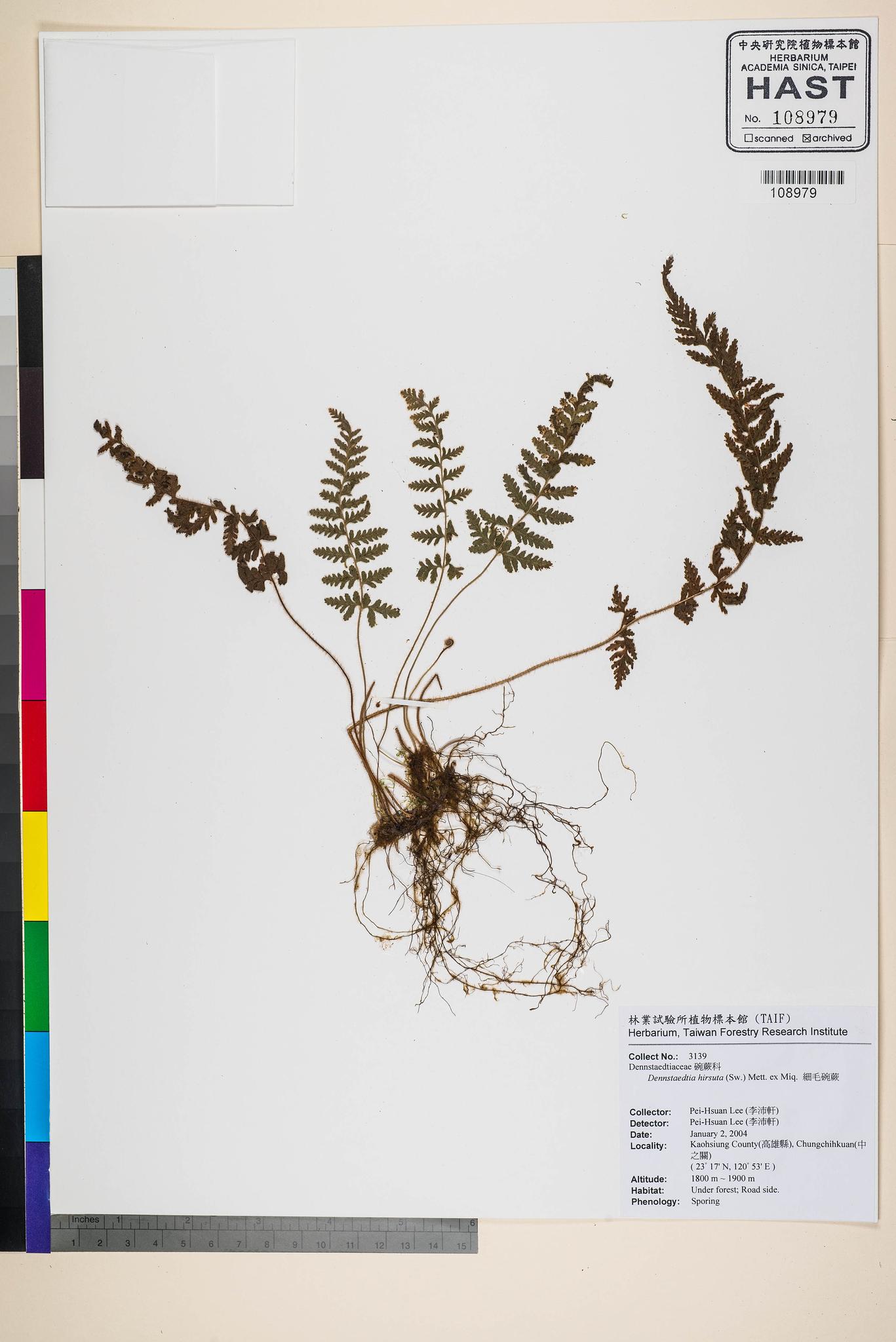 Sample image for viewer