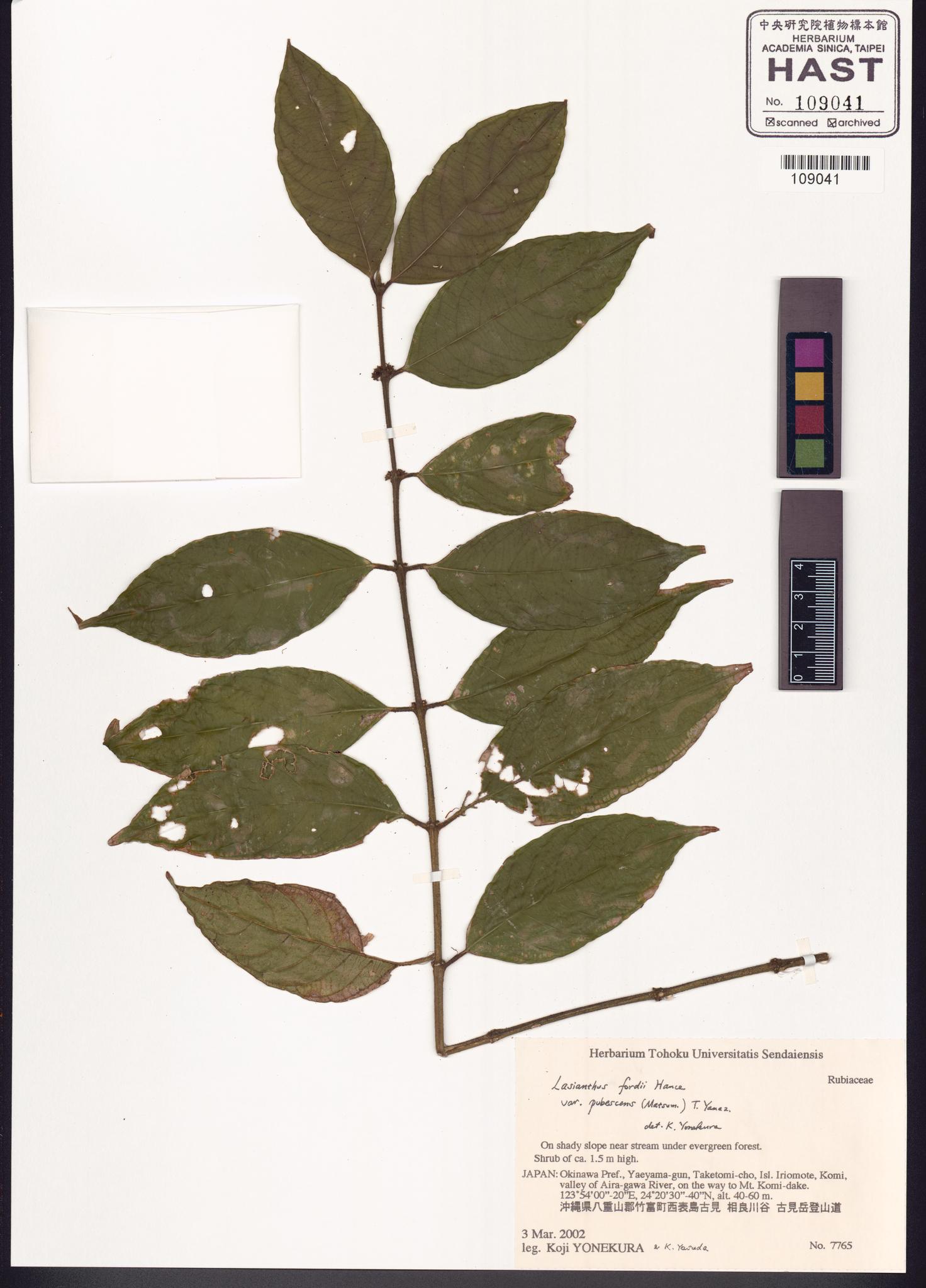 Sample image for viewer