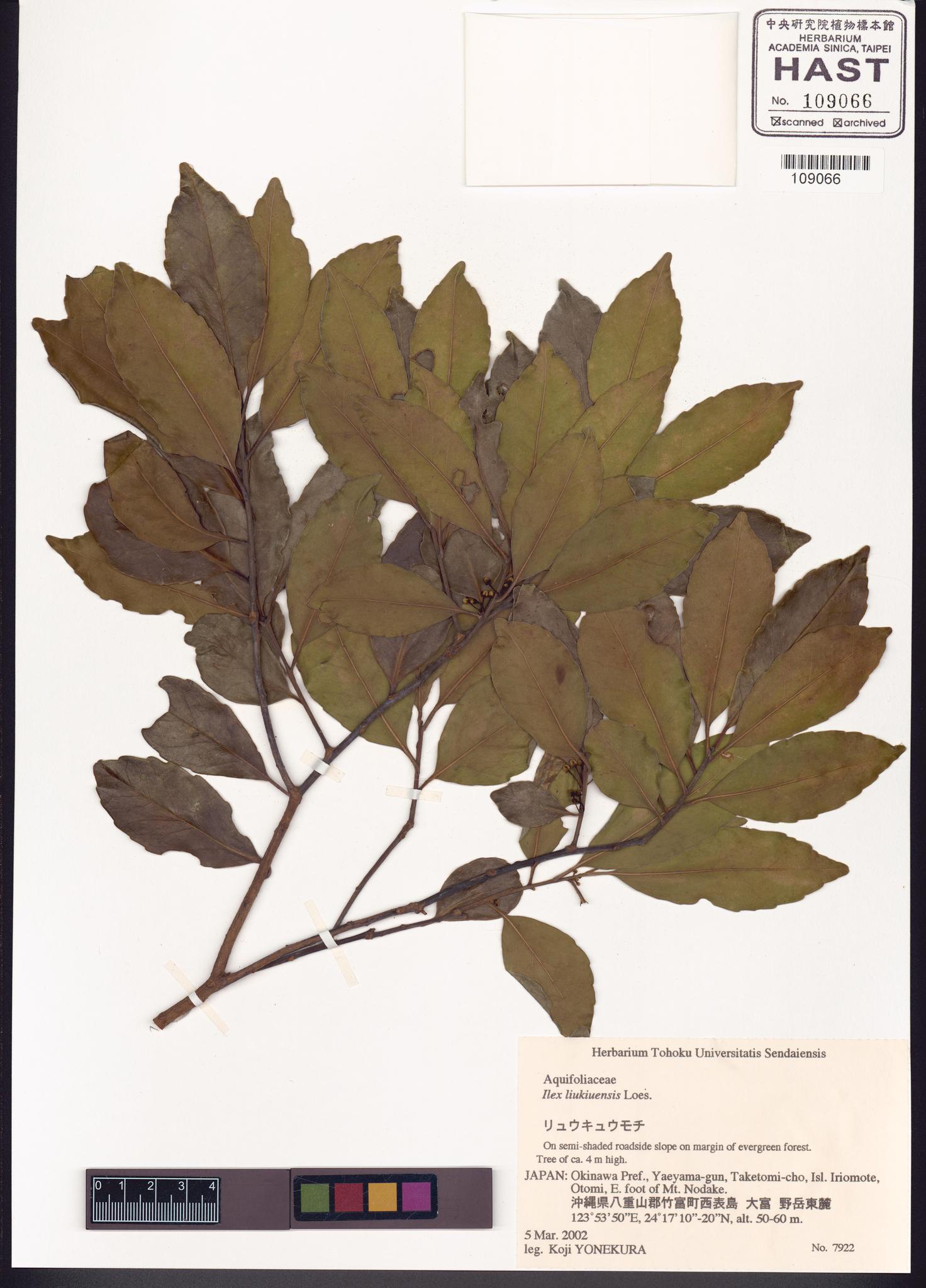 Sample image for viewer