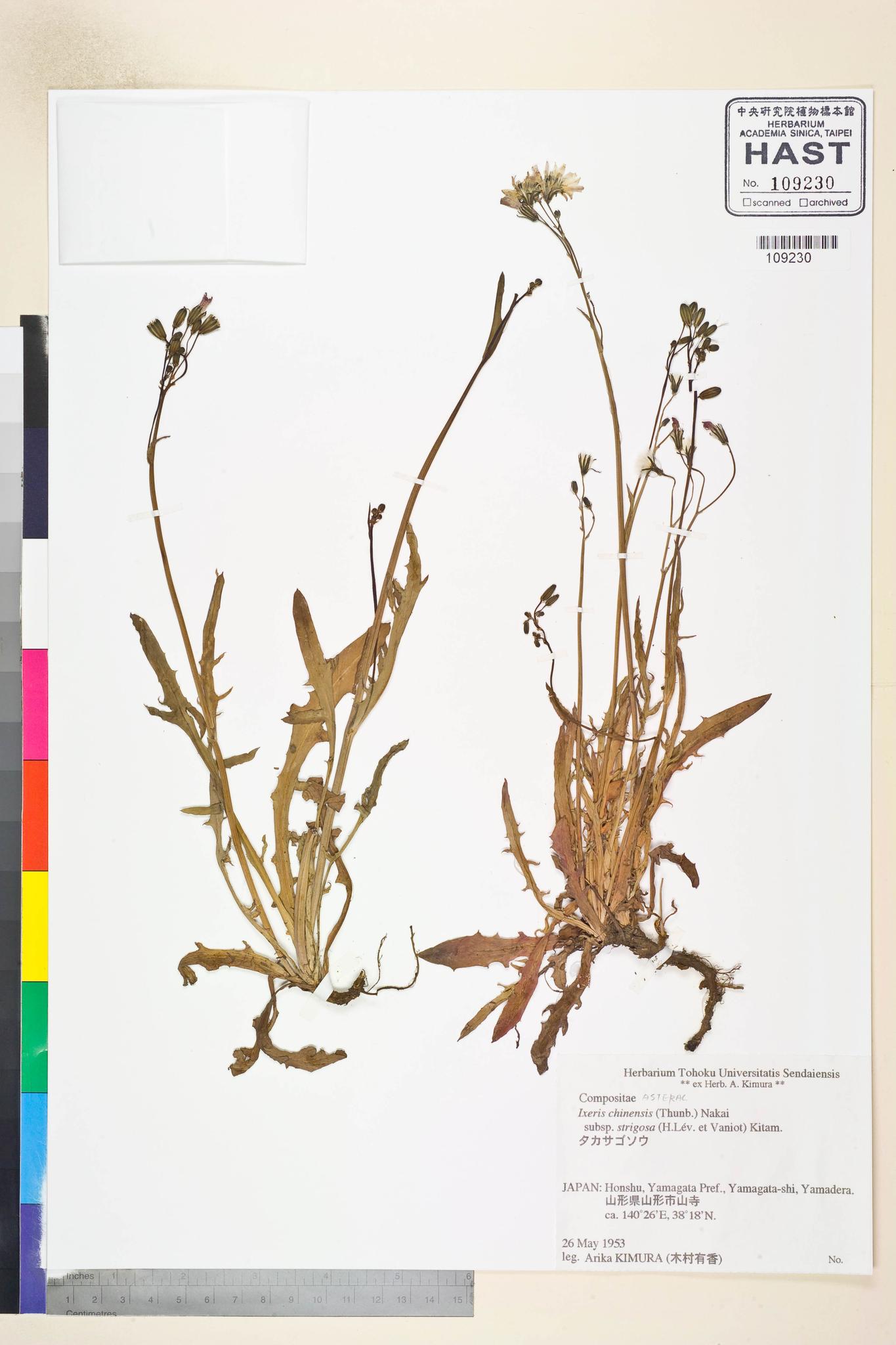 Specimen image