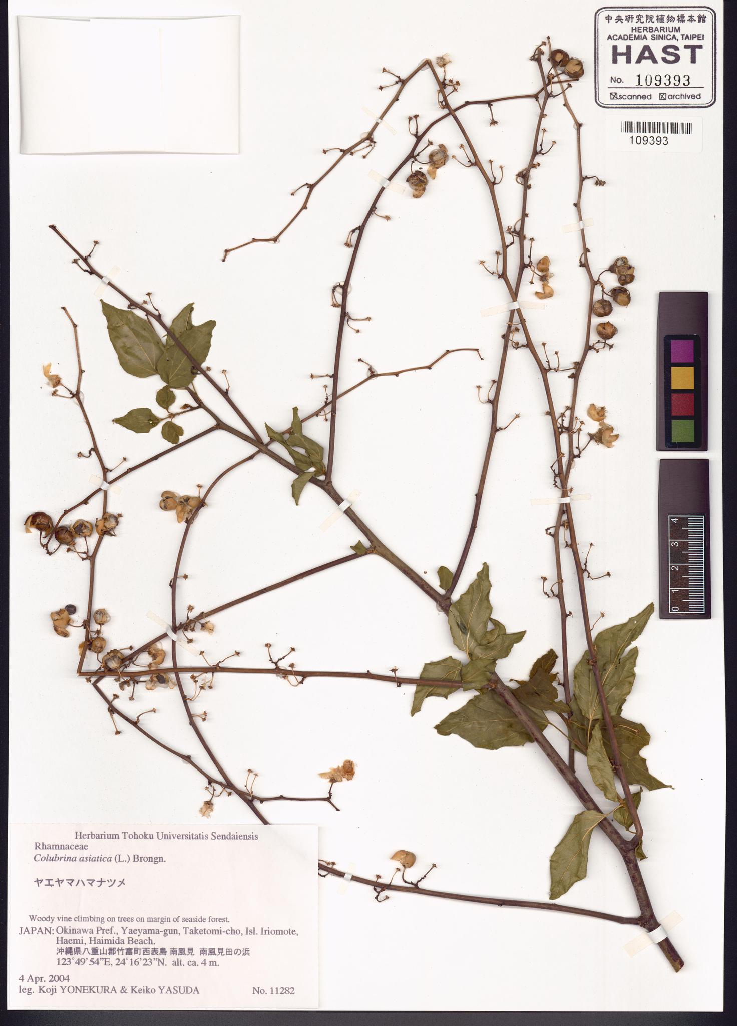 Sample image for viewer