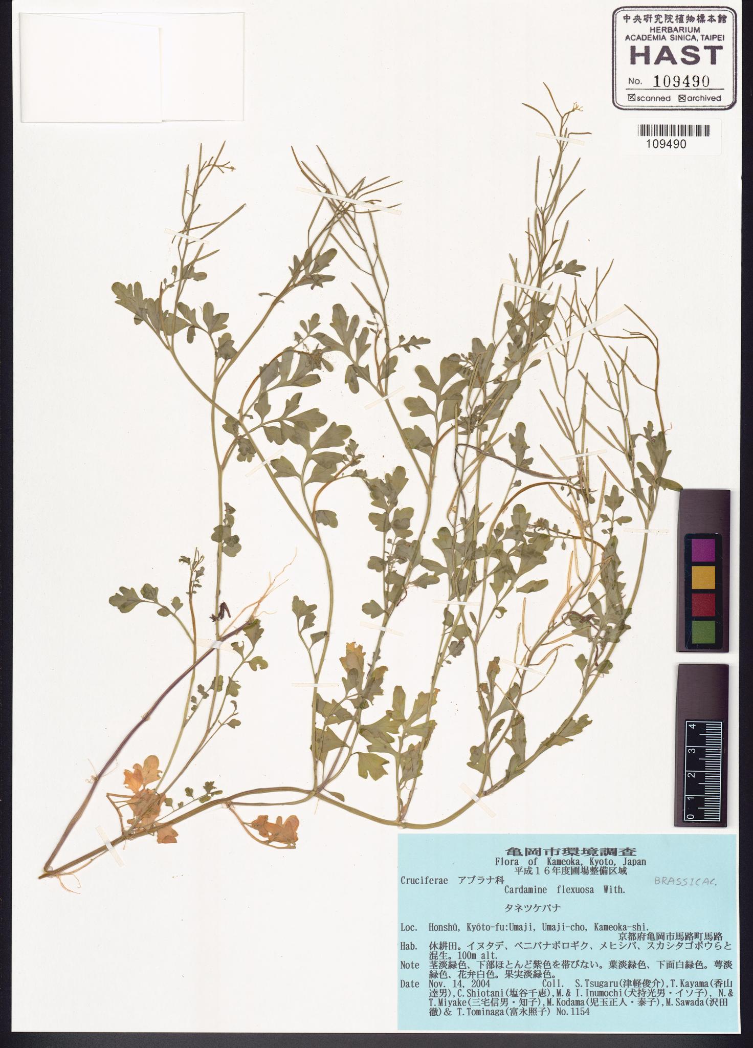 Sample image for viewer