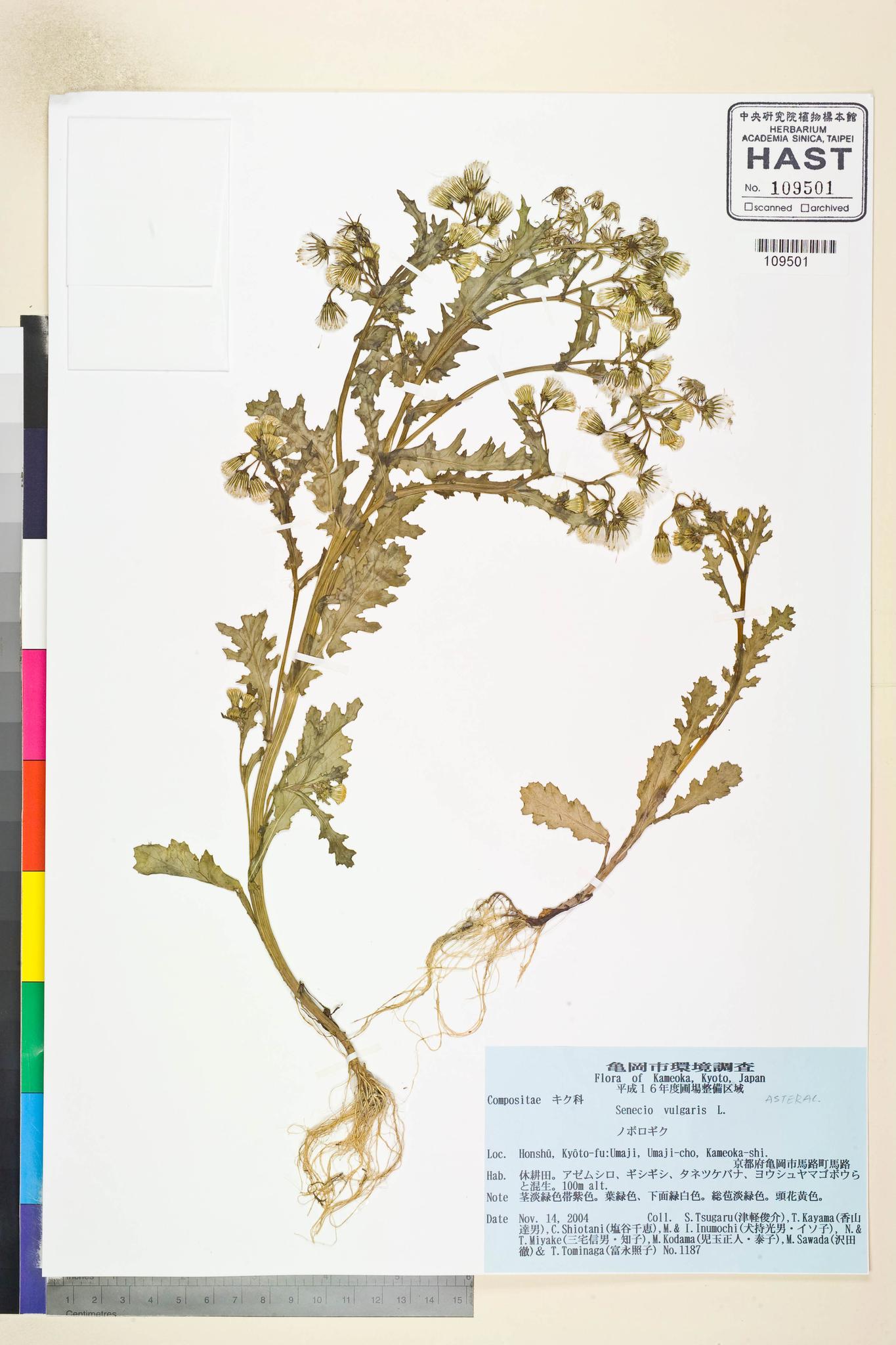 Sample image for viewer