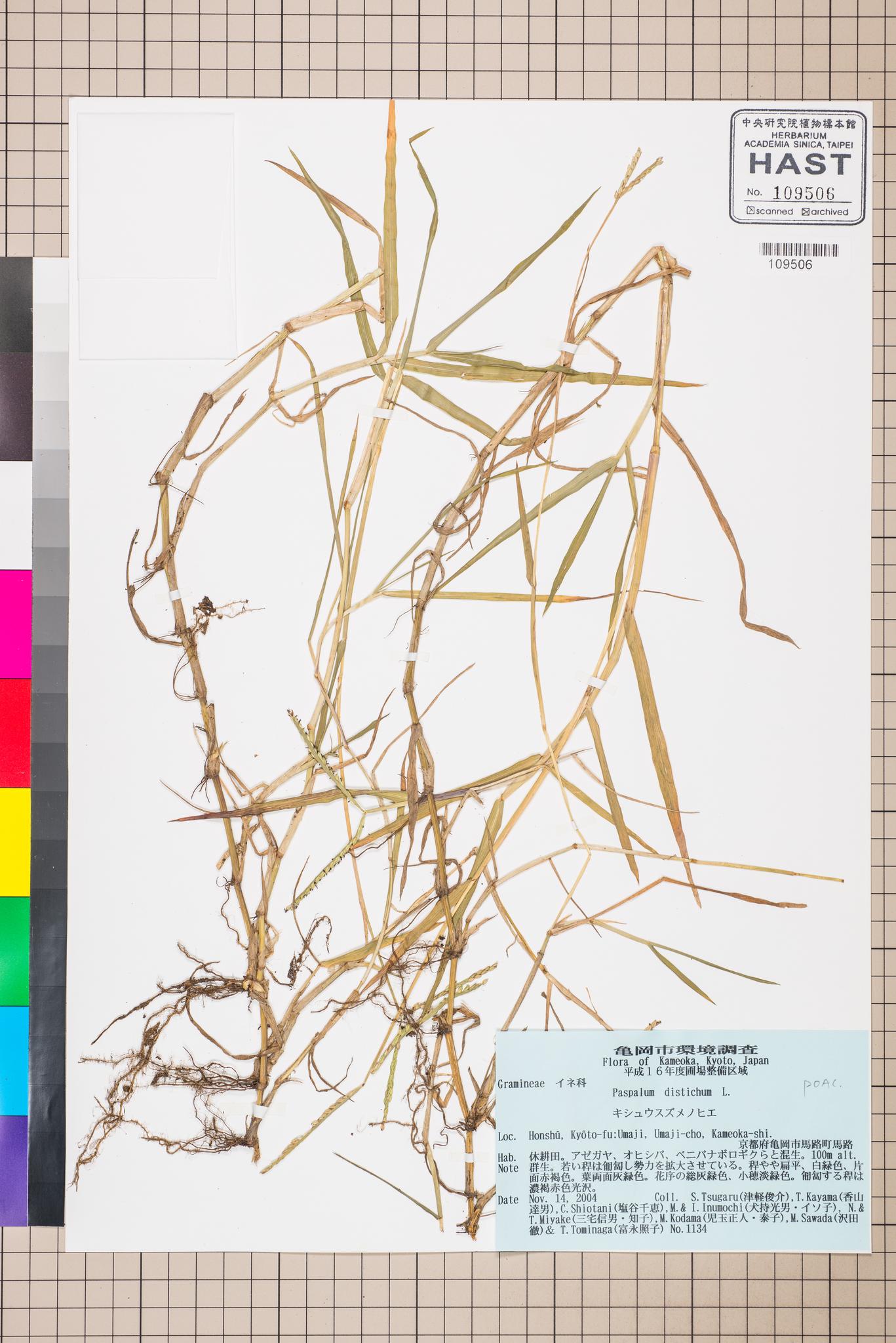 Sample image for viewer