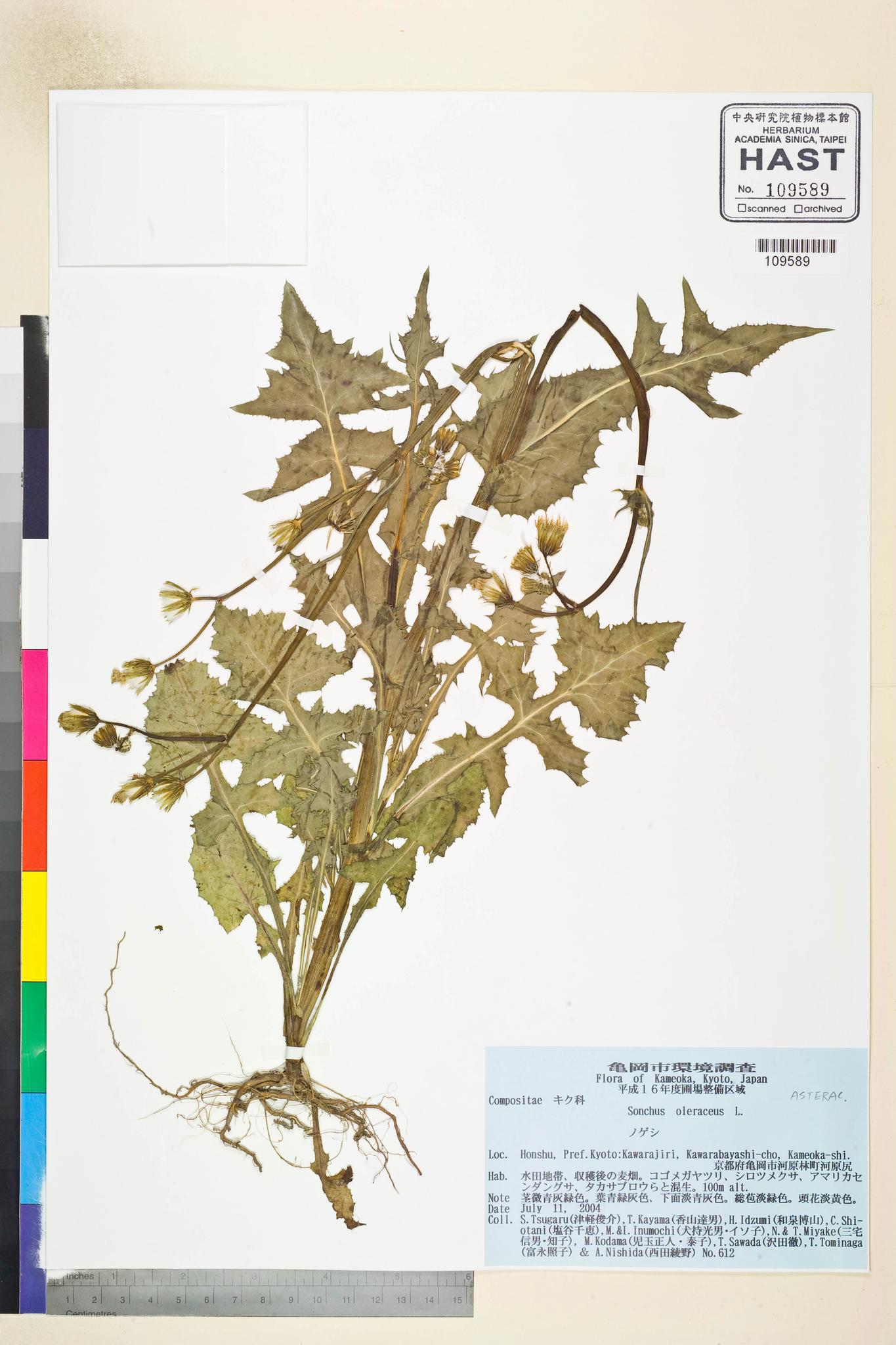 Sample image for viewer