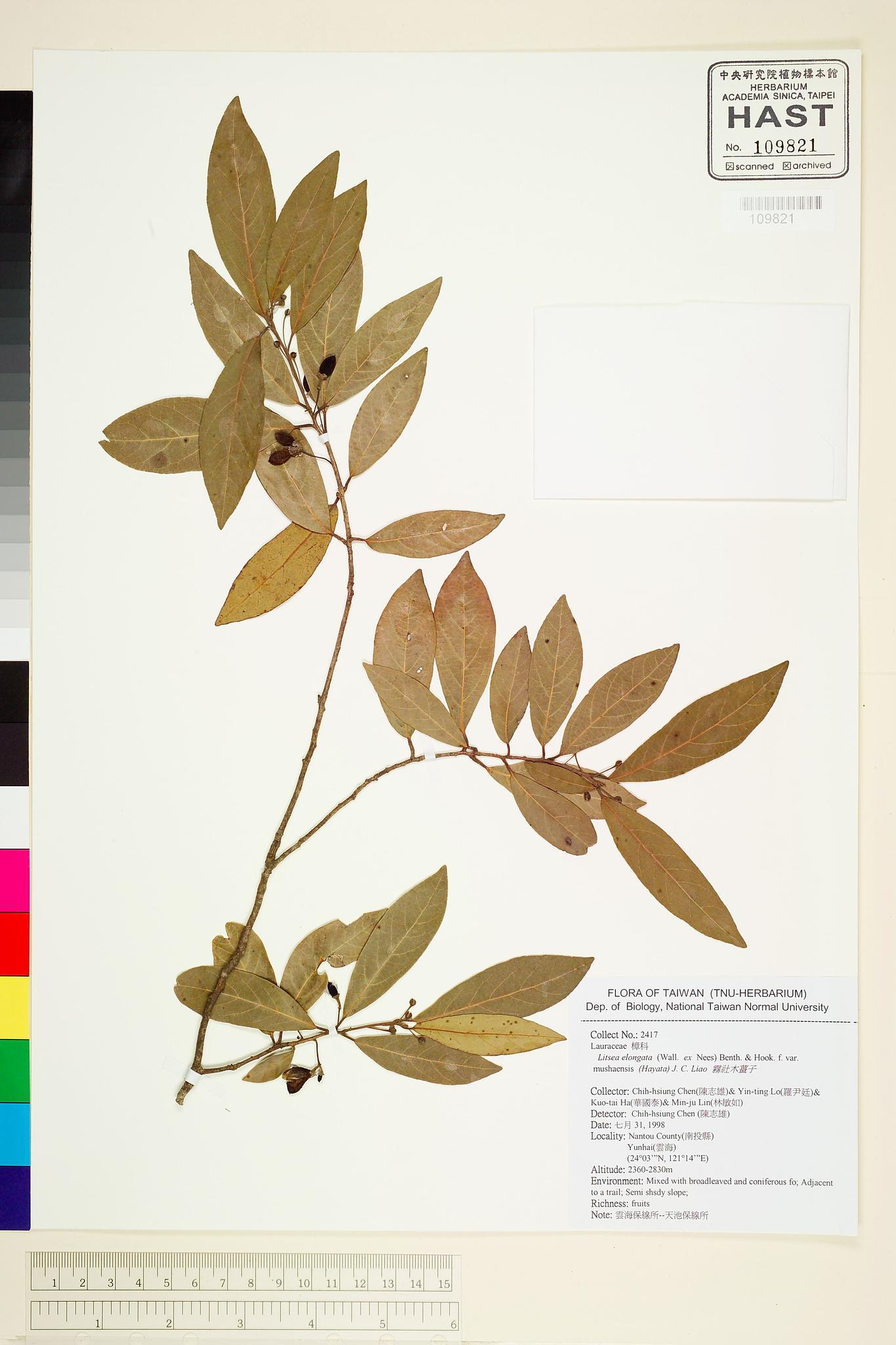 Sample image for viewer