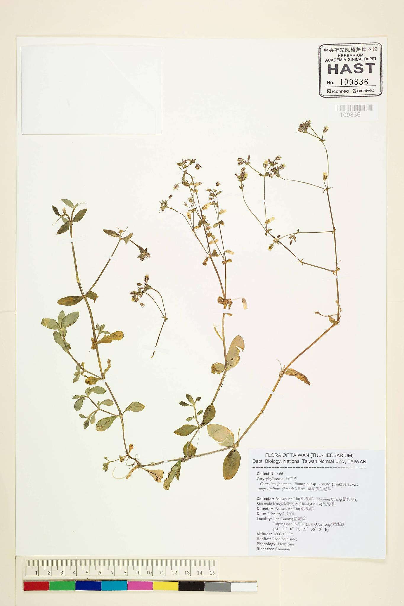 Sample image for viewer