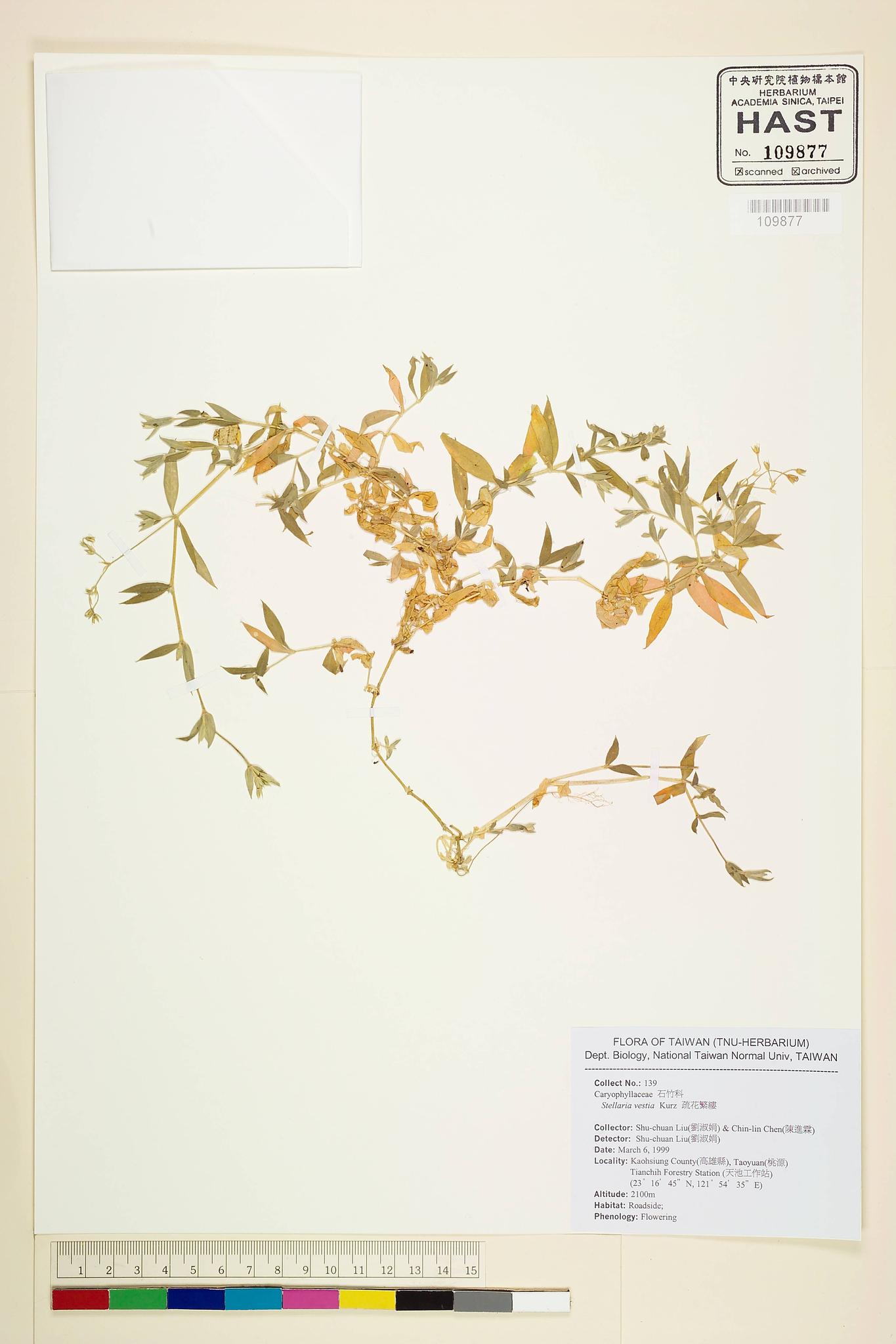 Sample image for viewer