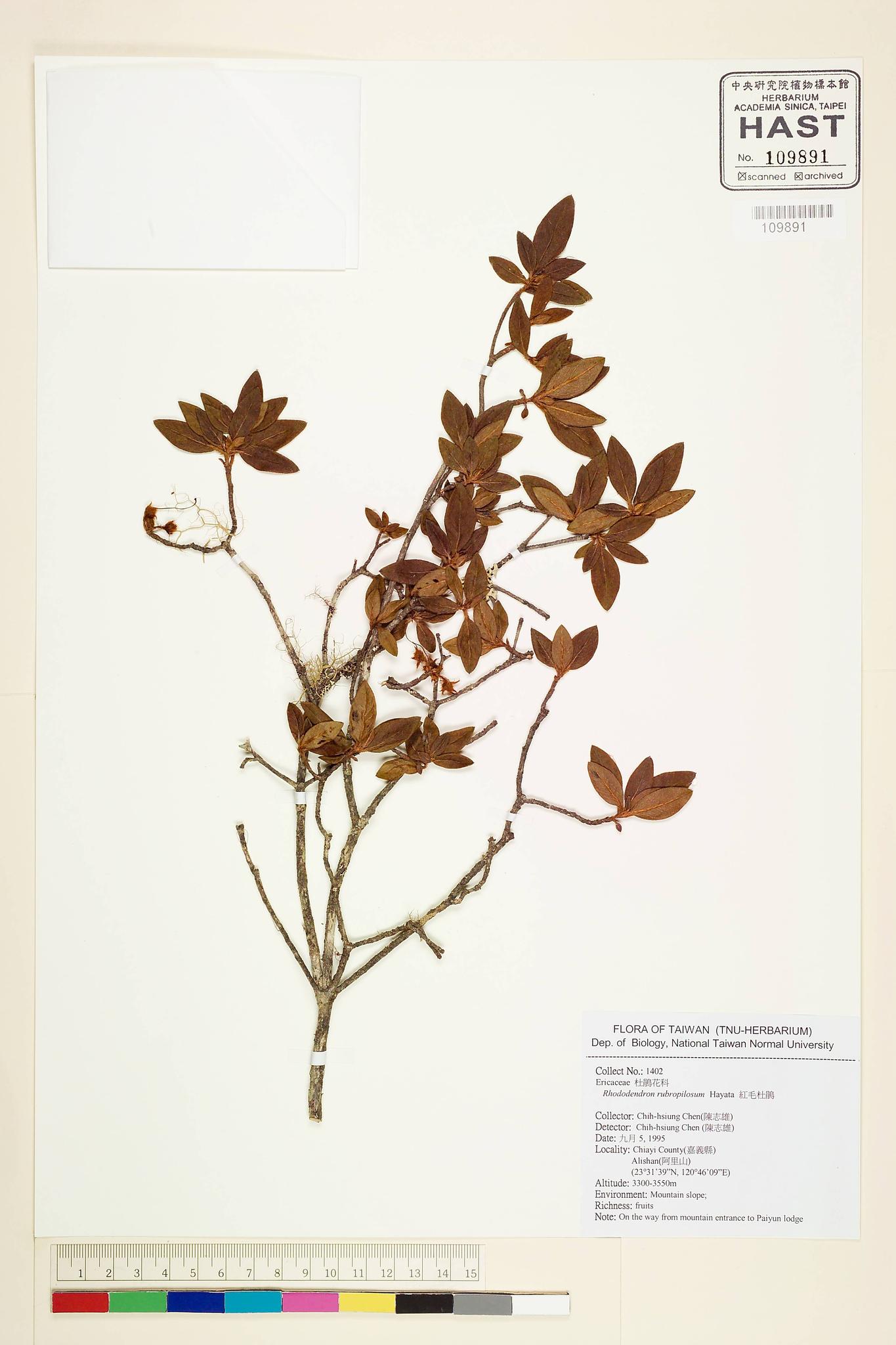 Sample image for viewer