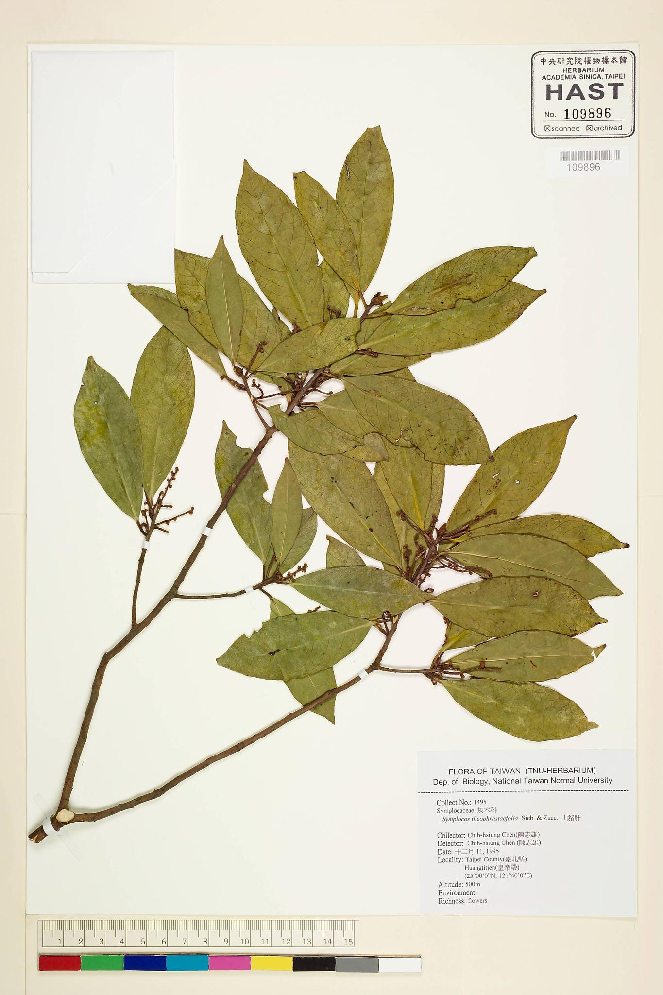 Sample image for viewer