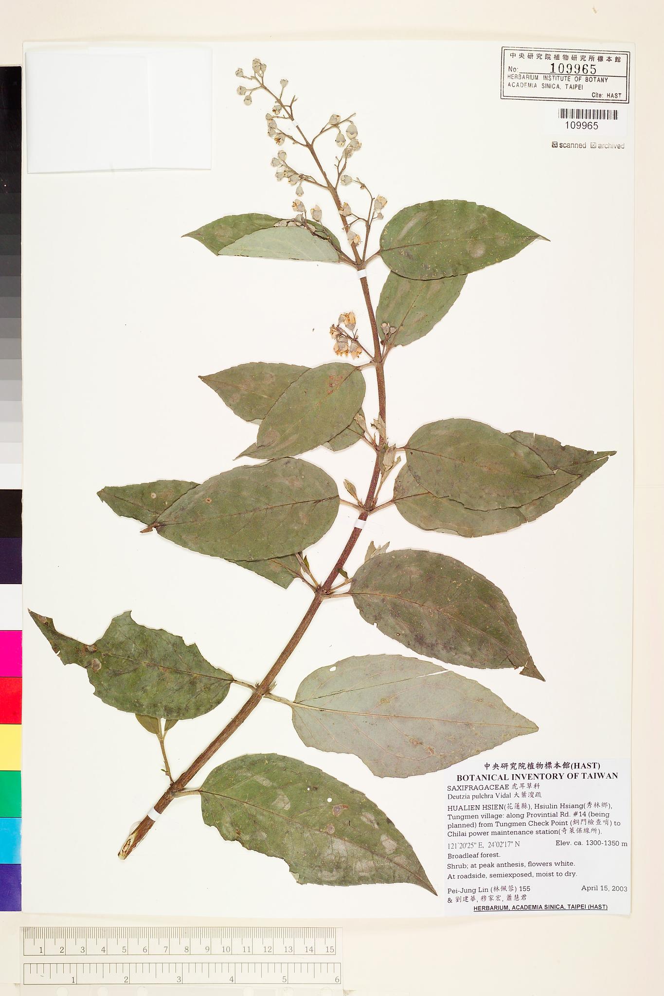 Sample image for viewer