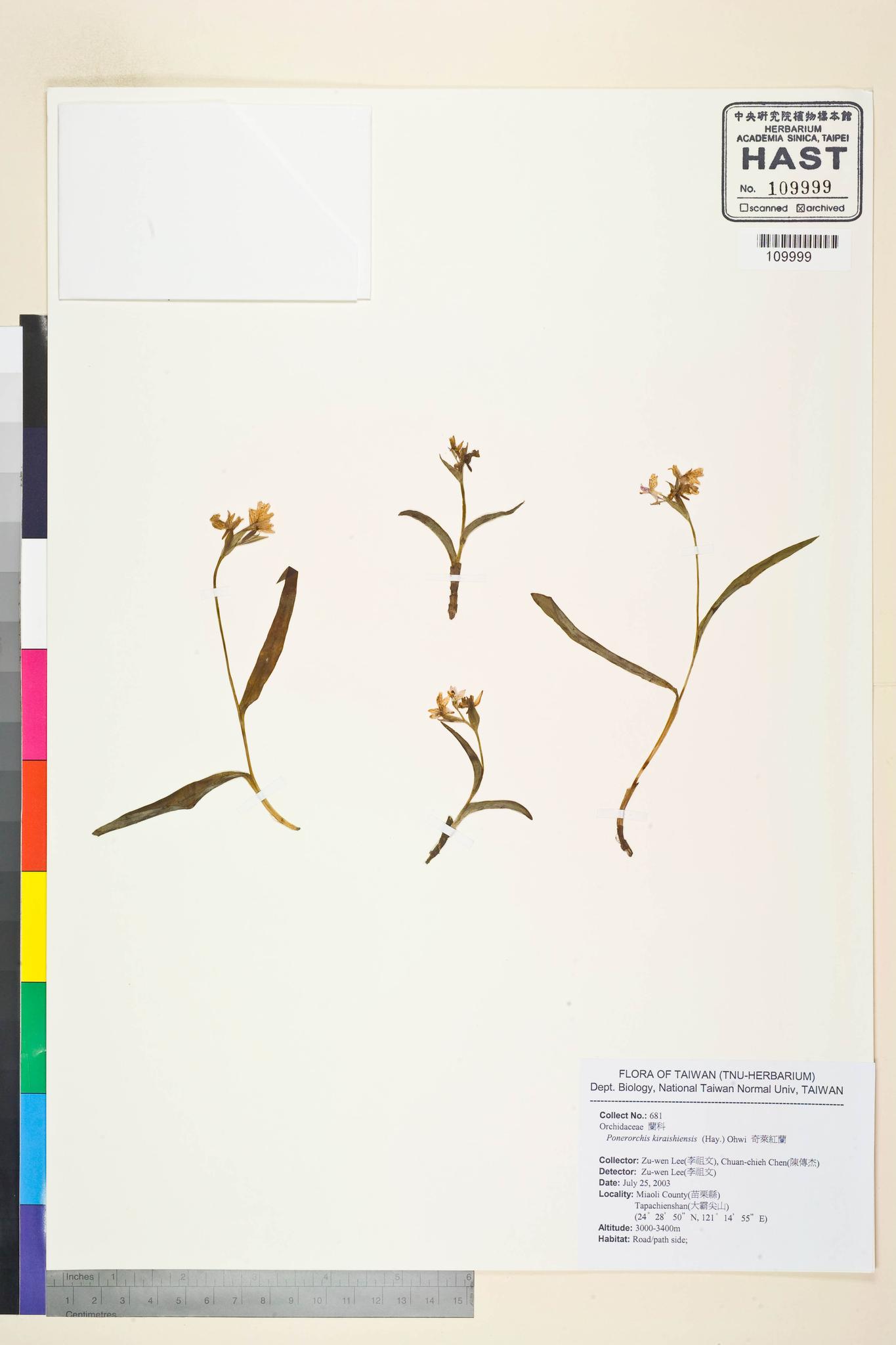 Sample image for viewer