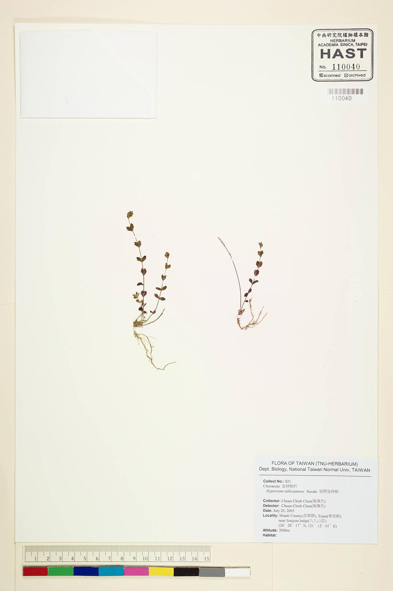 Sample image for viewer